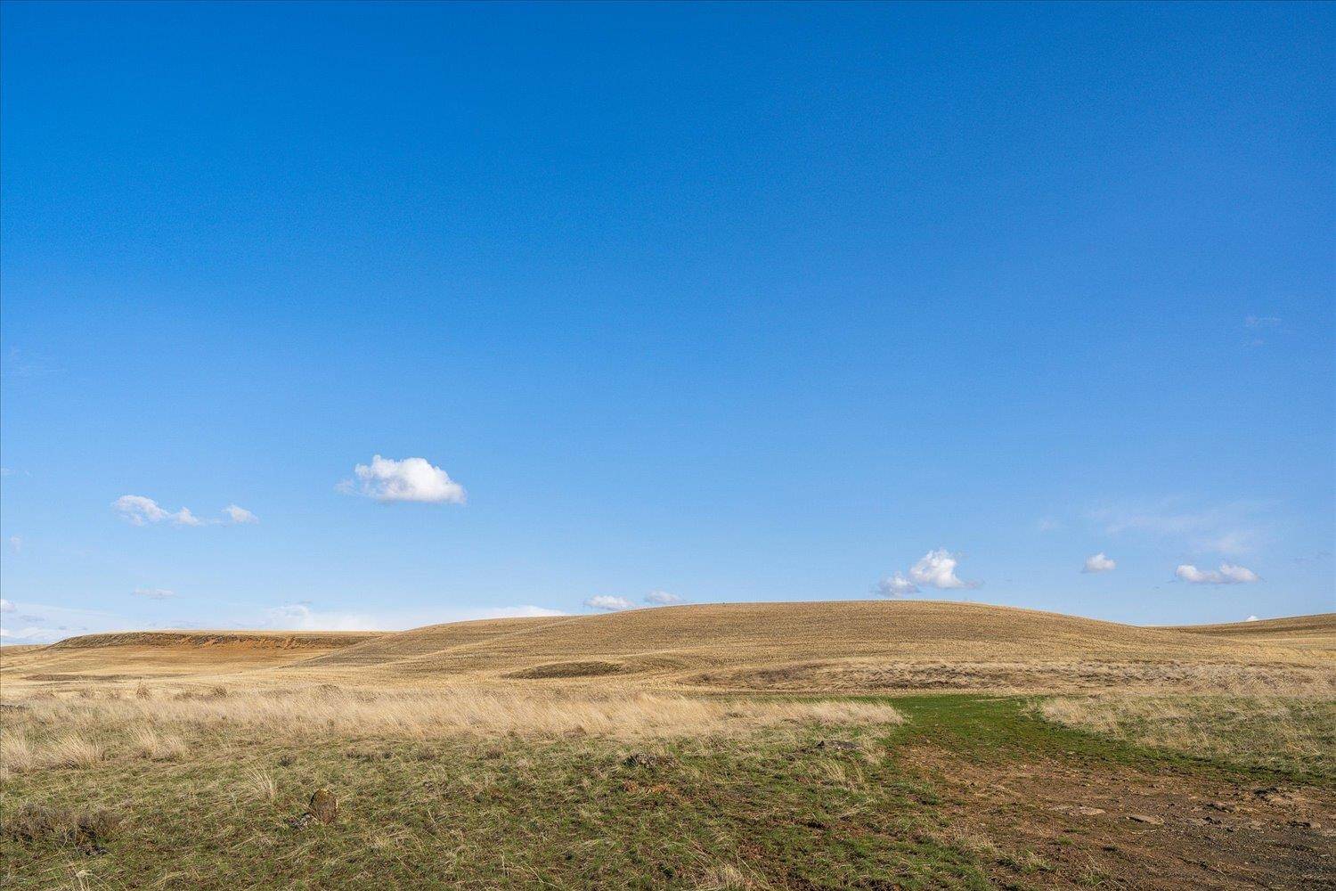 XX N Coal Springs Rd, Davenport, WA 99122