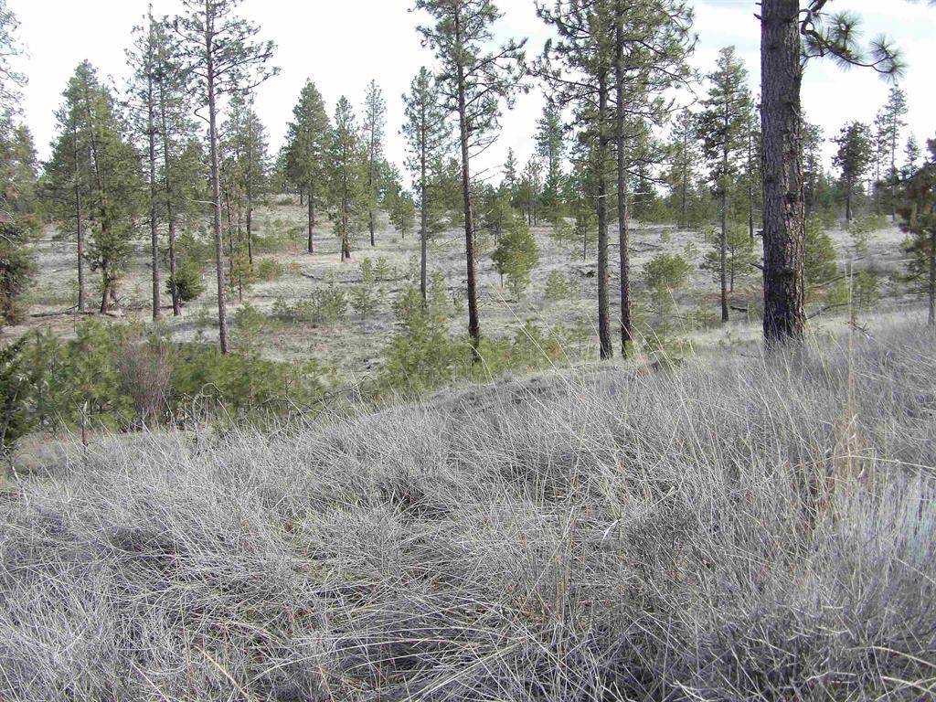 Lot 2 Pine Hen Ln, Davenport, WA 99122