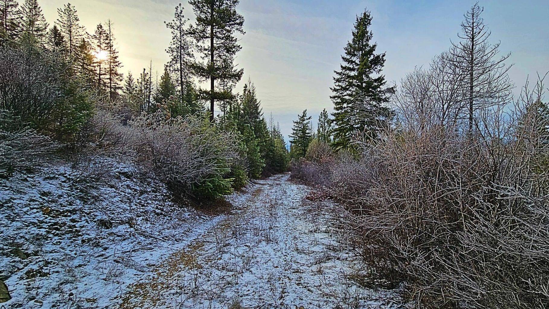 26XX B Burnt Valley Rd, Chewelah, WA 99109-0000