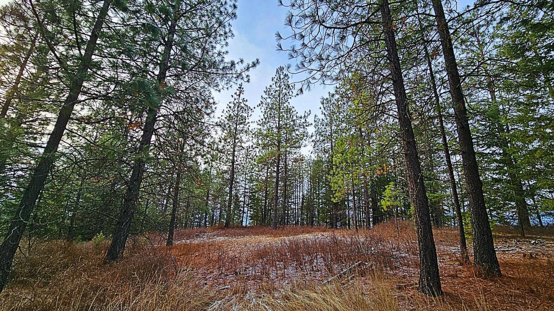 26XX B Burnt Valley Rd, Chewelah, WA 99109-0000
