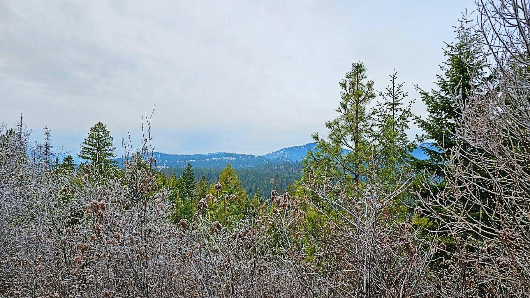 26XX B Burnt Valley Rd, Chewelah, WA 99109-0000
