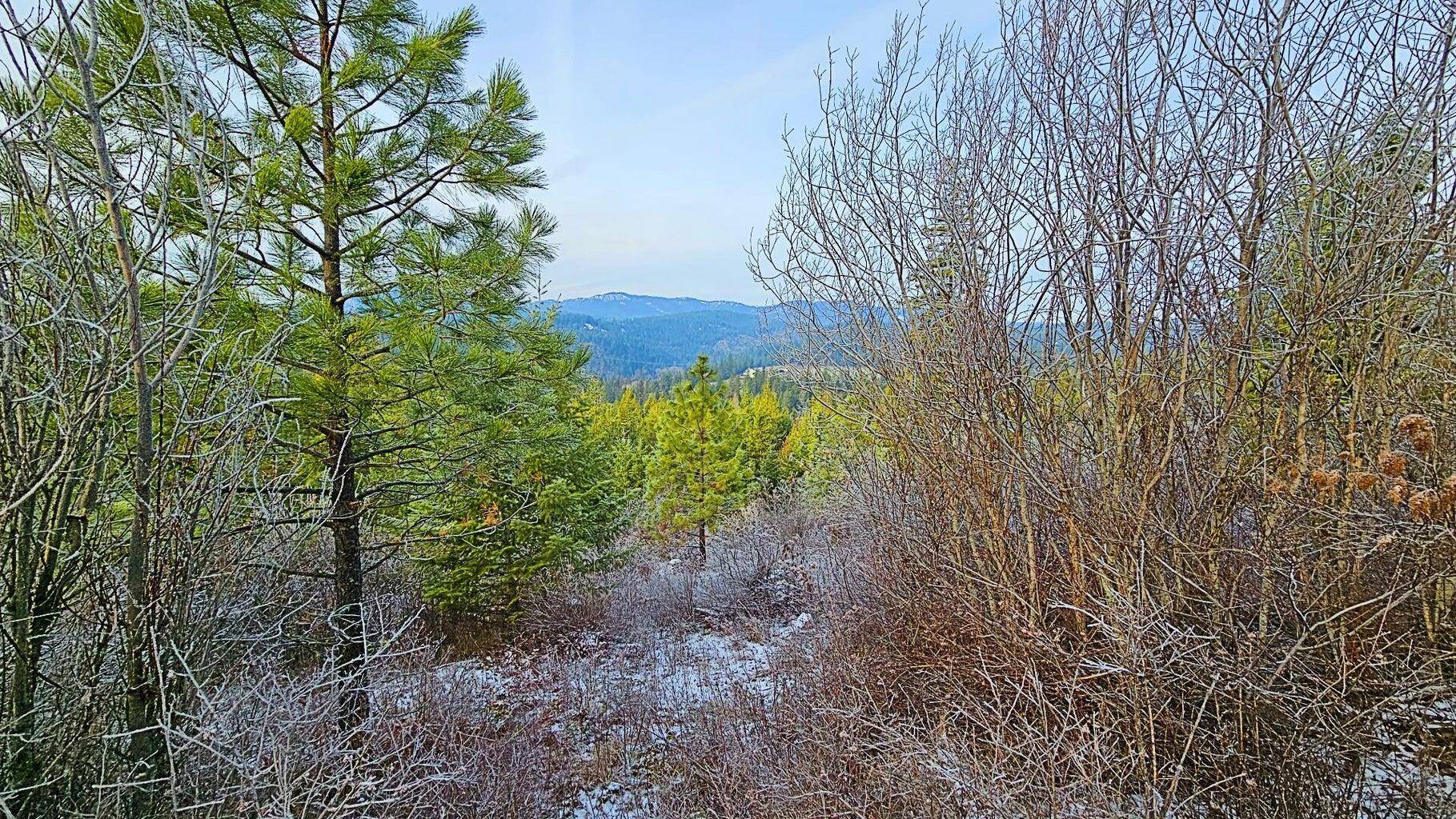 26XX B Burnt Valley Rd, Chewelah, WA 99109-0000