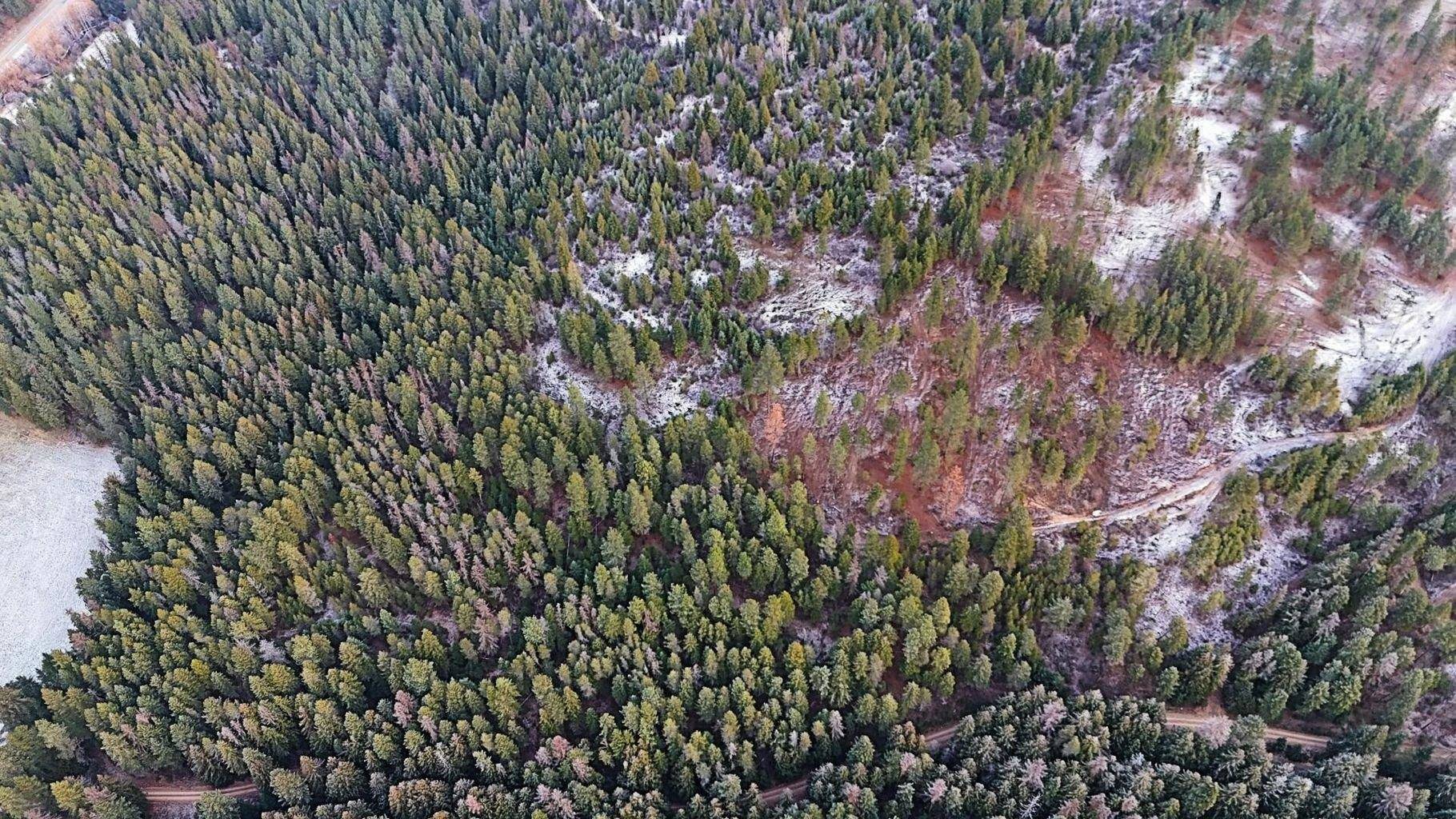 26XX C Burnt Valley Rd, Chewelah, WA 99109-0000