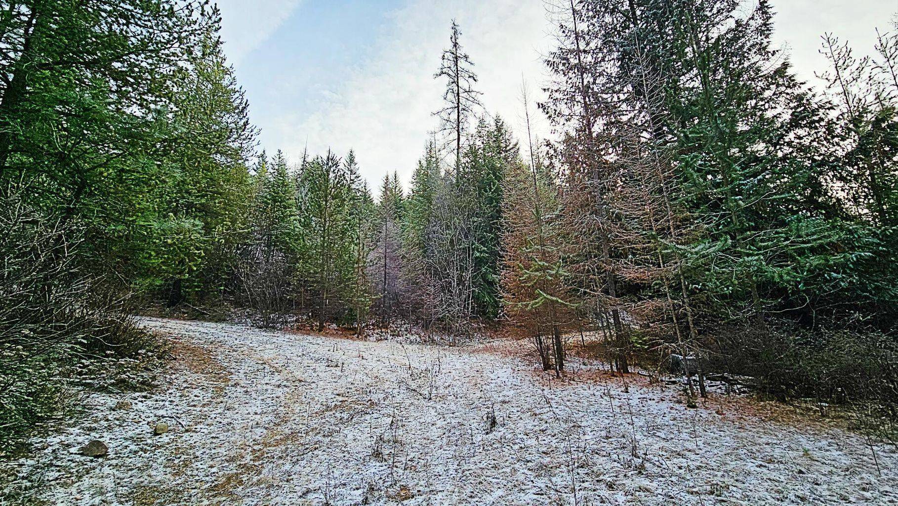 26XX C Burnt Valley Rd, Chewelah, WA 99109-0000