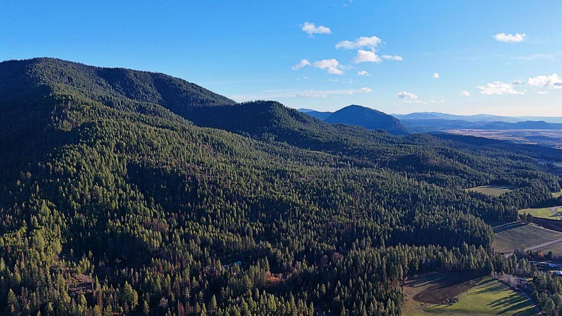 26XX C Burnt Valley Rd, Chewelah, WA 99109-0000