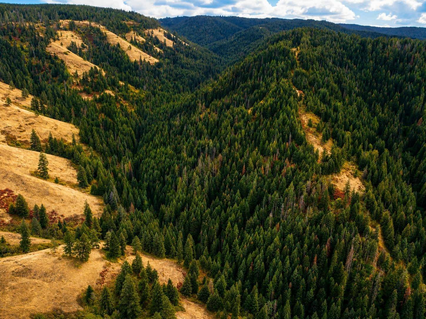 30 Acres on Biscuit Ridge Rdg, Other, WA 99361