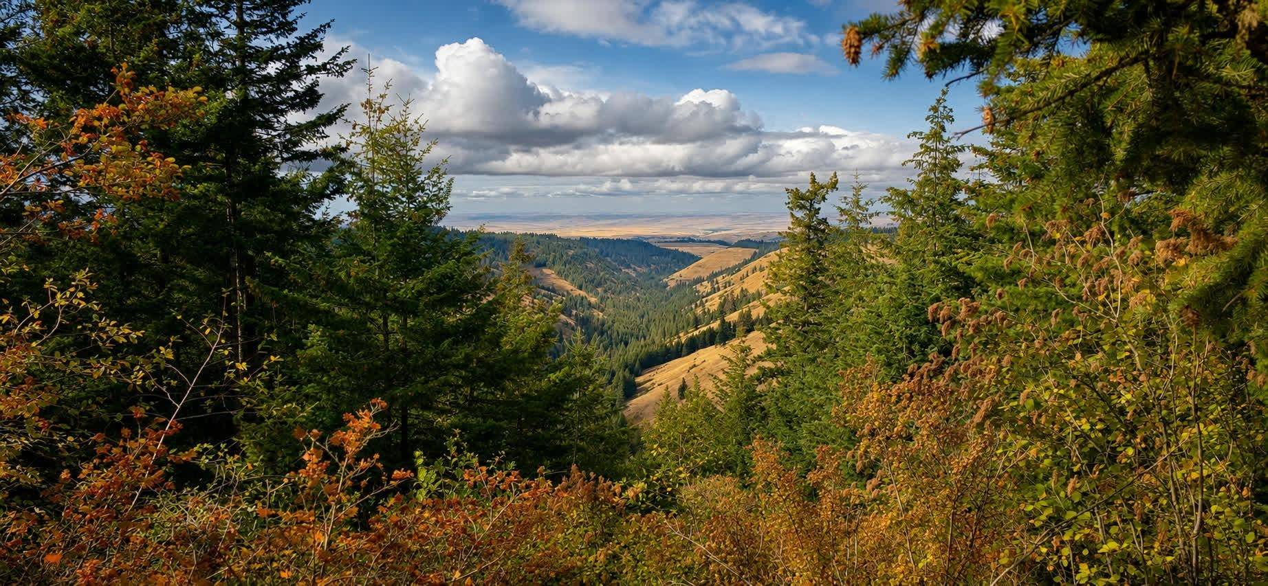 30 Acres on Biscuit Ridge Rdg, Other, WA 99361