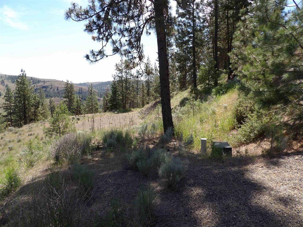 Lot 2 Chukar Short Plat Ln, Davenport, WA 99122