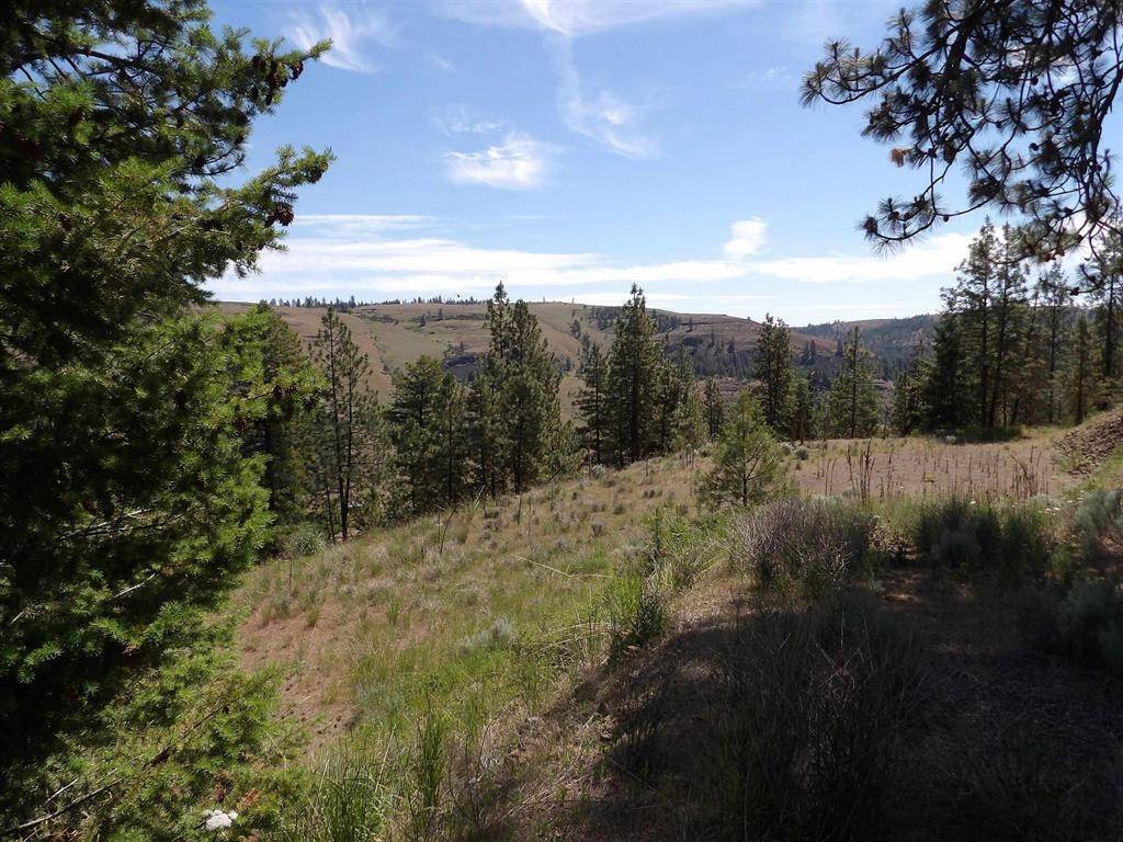 Lot 2 Chukar Short Plat Ln, Davenport, WA 99122