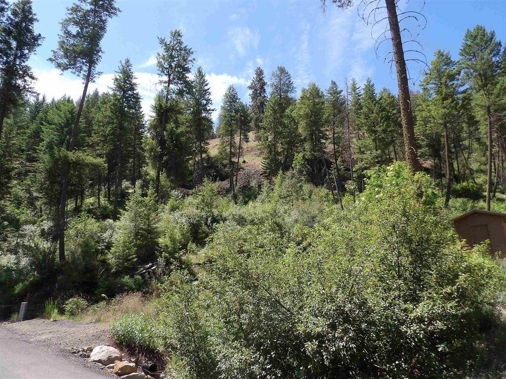 Lot 2 Chukar Short Plat Ln, Davenport, WA 99122