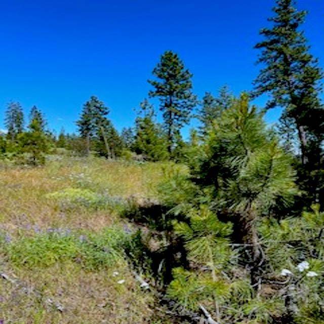 Lot A Kronos Short Plat/Pine Hen Ln, Davenport, WA 99122