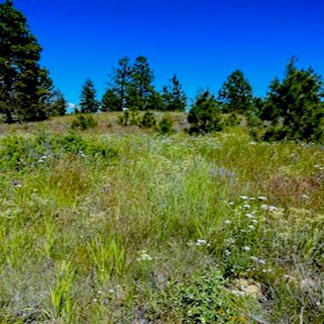 Lot A Kronos Short Plat/Pine Hen Ln, Davenport, WA 99122
