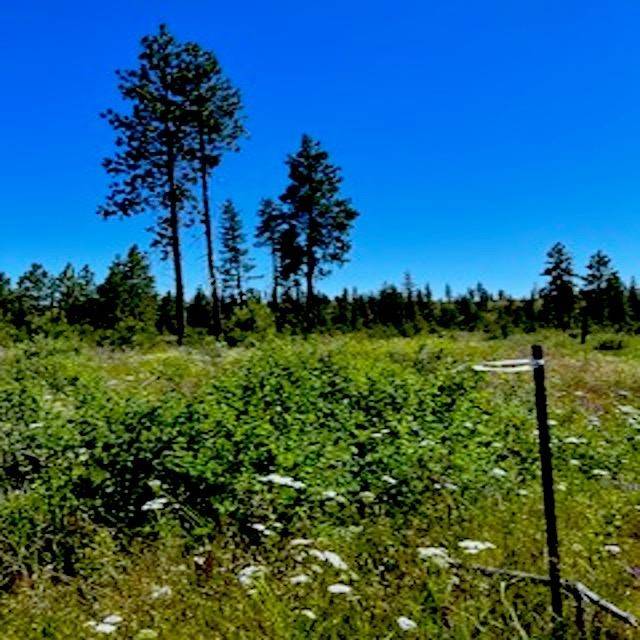 Lot A Kronos Short Plat/Pine Hen Ln, Davenport, WA 99122