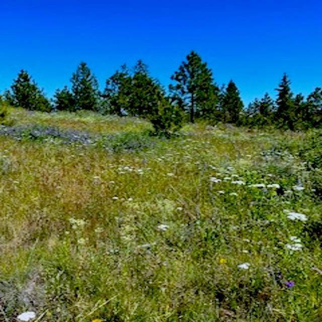 Lot A Kronos Short Plat/Pine Hen Ln, Davenport, WA 99122