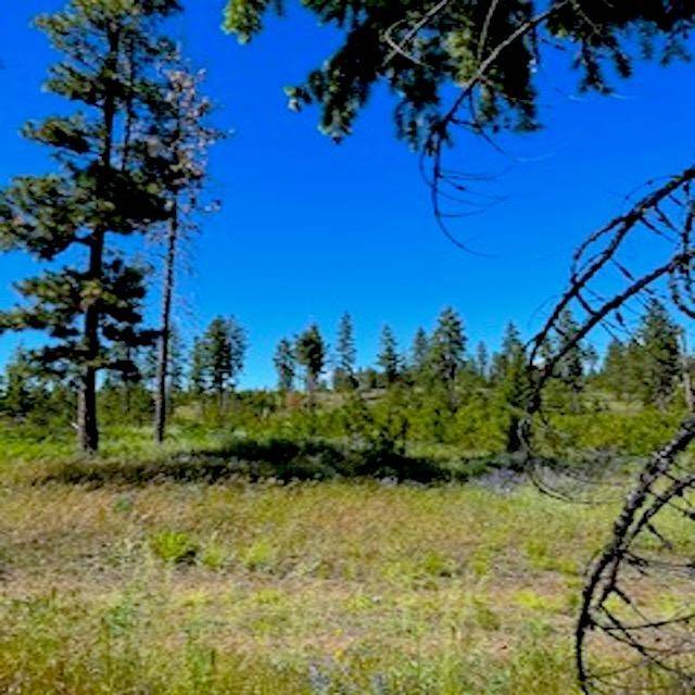 Lot B Kronos Short Plat/Pine Hen Ln, Davenport, WA 99122