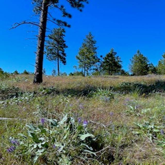 Lot B Kronos Short Plat/Pine Hen Ln, Davenport, WA 99122