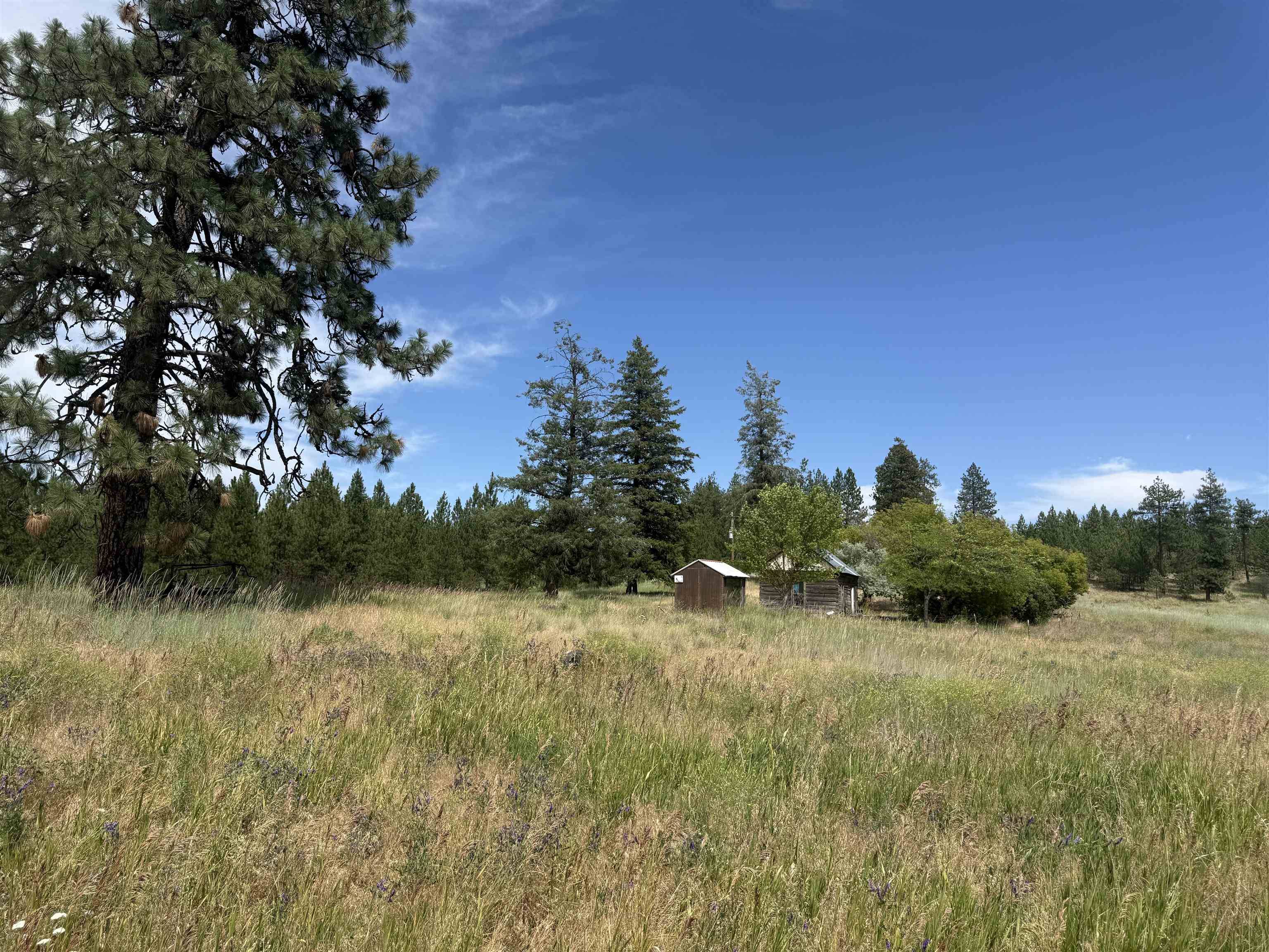 15211 N Wood Rd, Nine Mile Falls, WA 99026