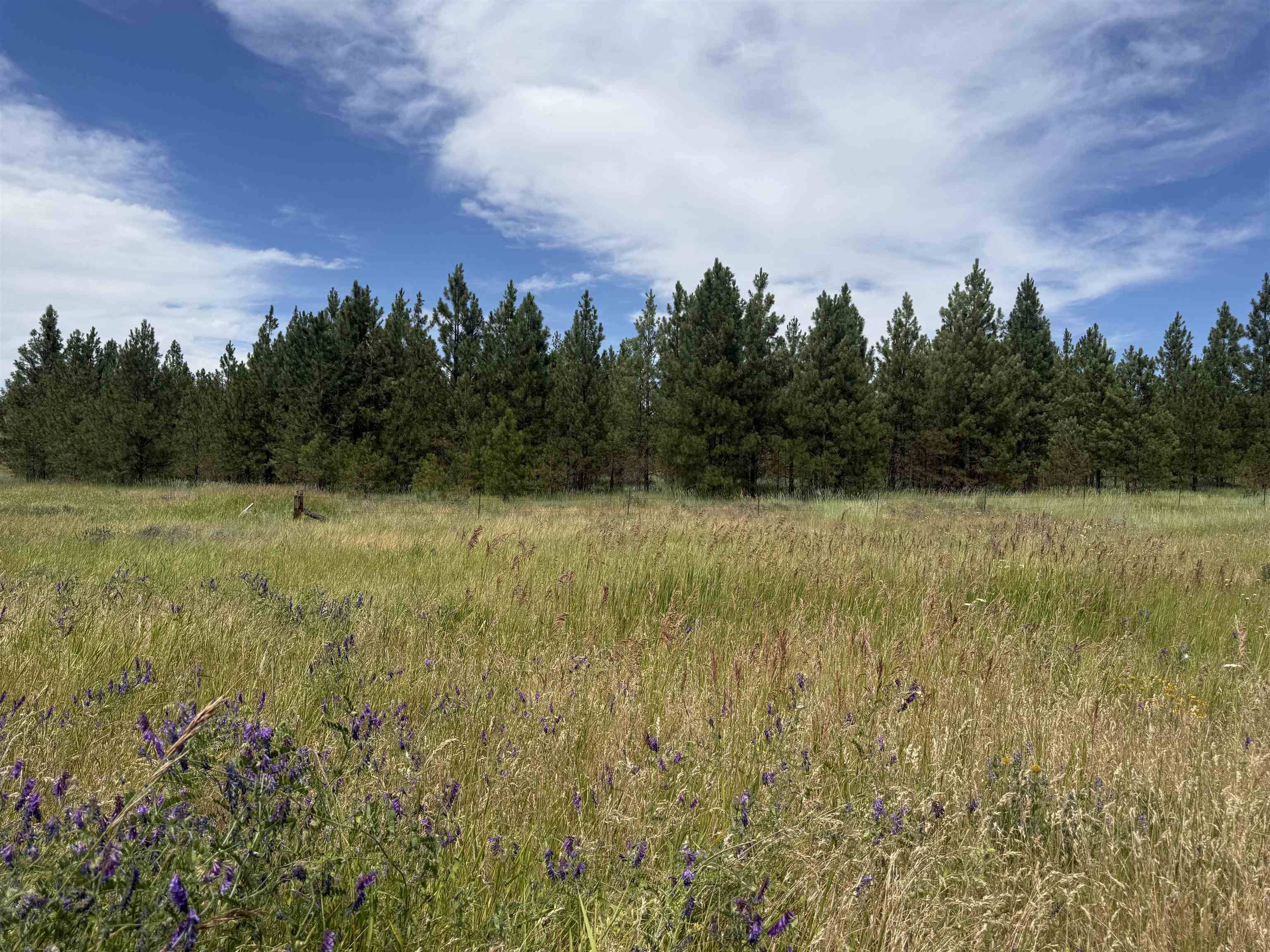 15211 N Wood Rd, Nine Mile Falls, WA 99026