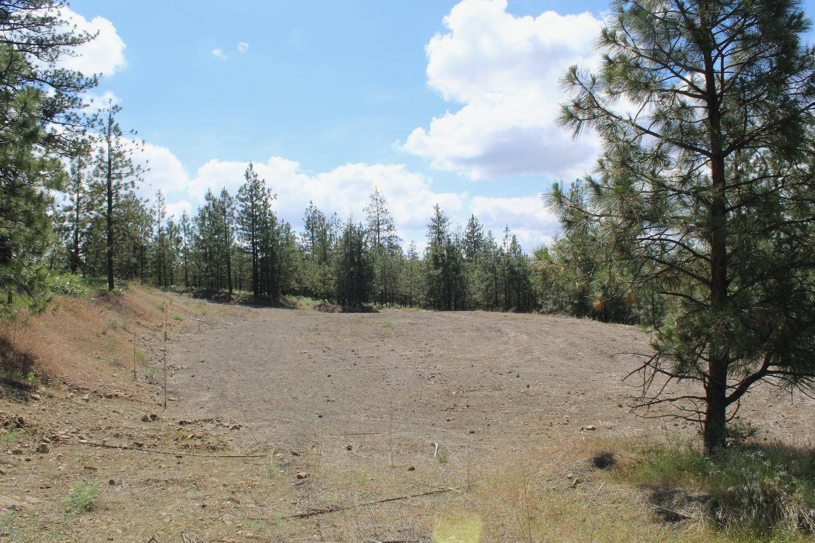 Flicker Lot 4 Sontag Ridge Dr, Davenport, WA 99122
