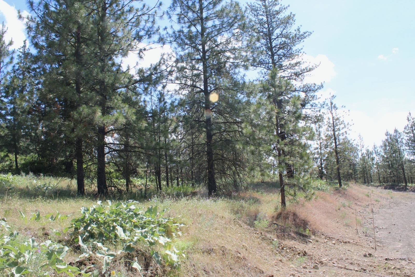 Flicker Lot 4 Sontag Ridge Dr, Davenport, WA 99122
