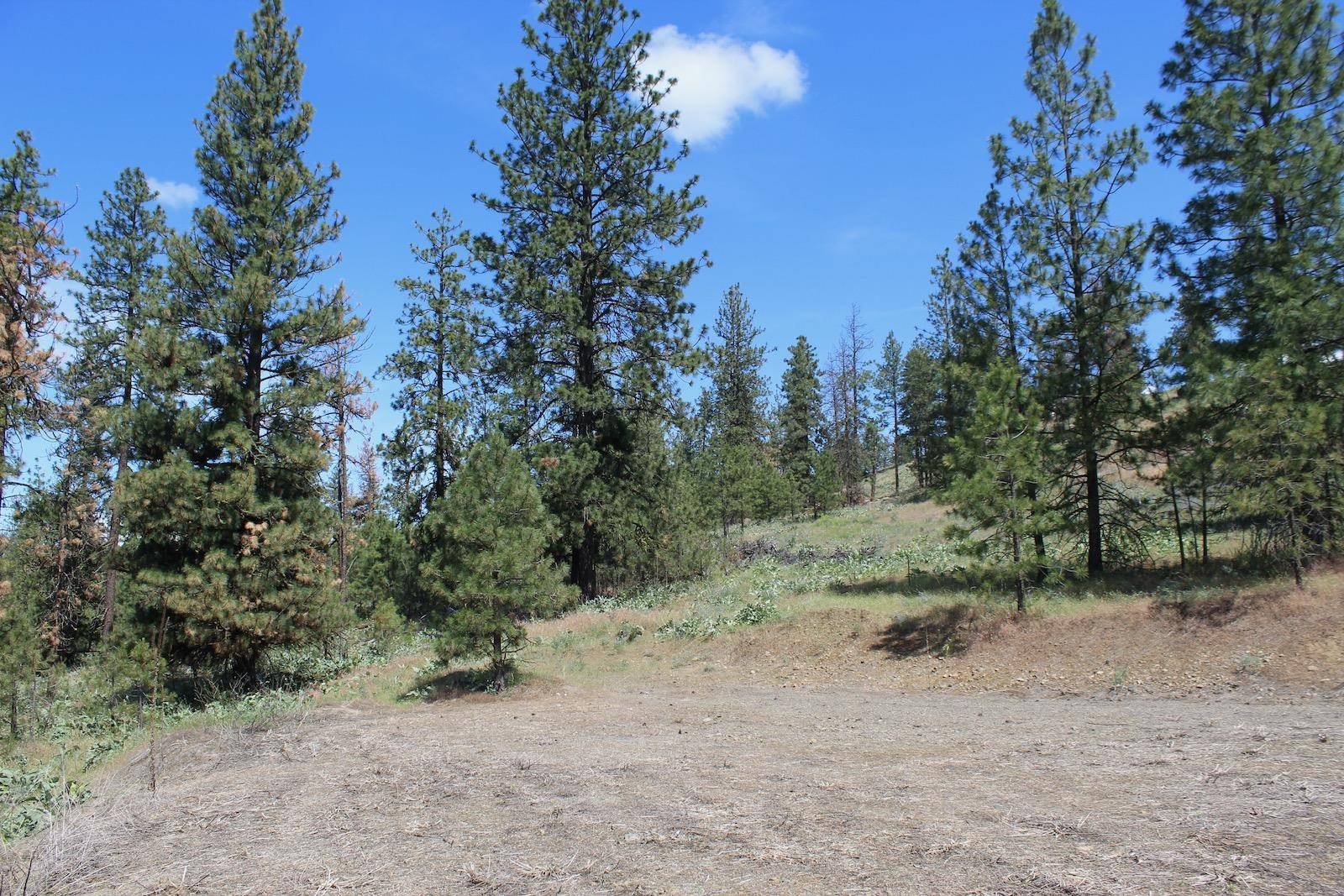 Flicker Lot 4 Sontag Ridge Dr, Davenport, WA 99122