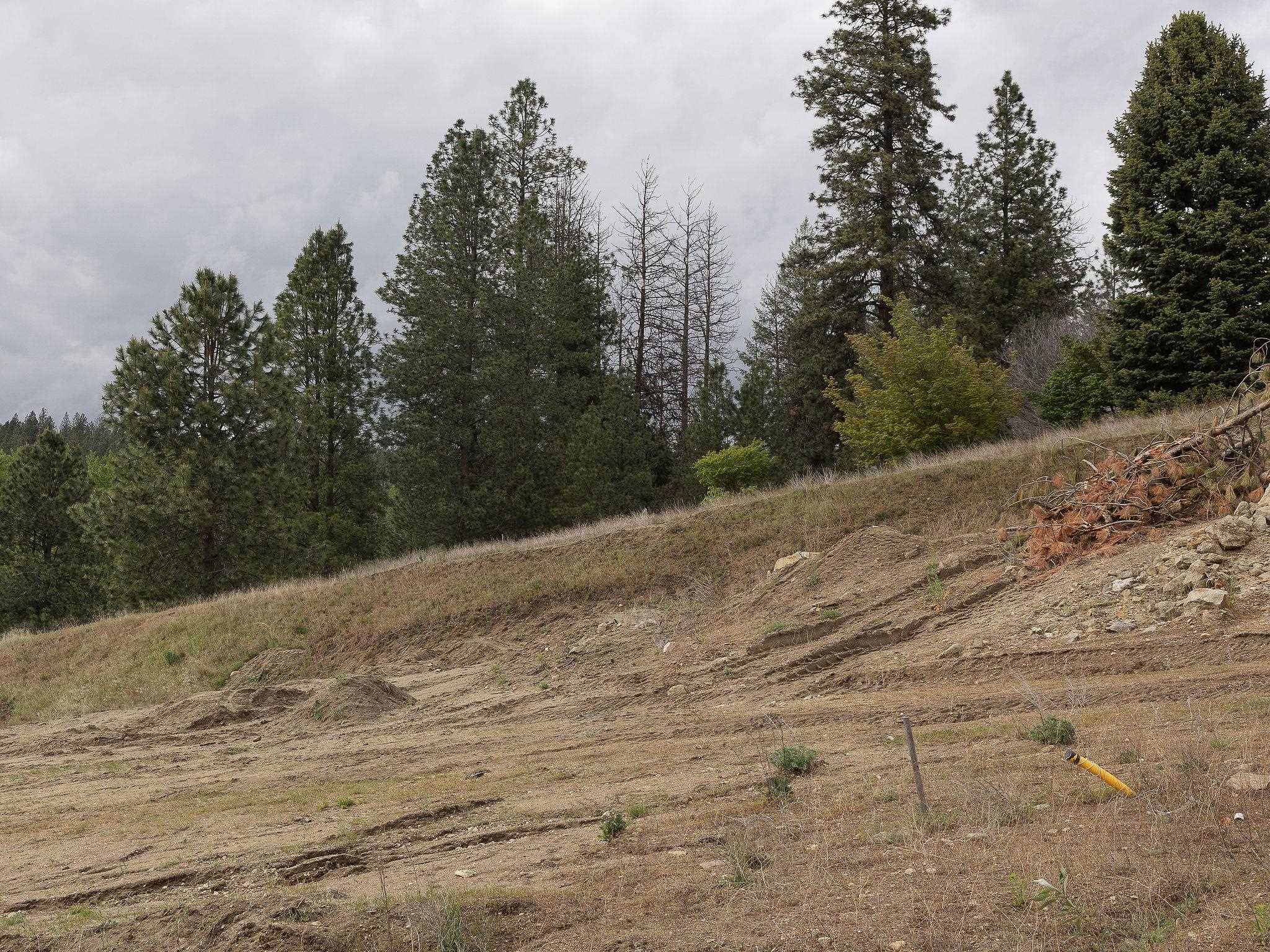 11817 E HONEYCOMB SPRINGS Ln, Spokane, WA 99206