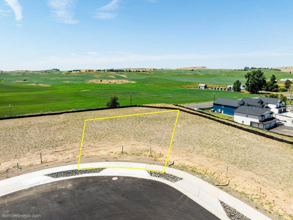 1113 Steptoe View Ln, Cheney, WA 99004