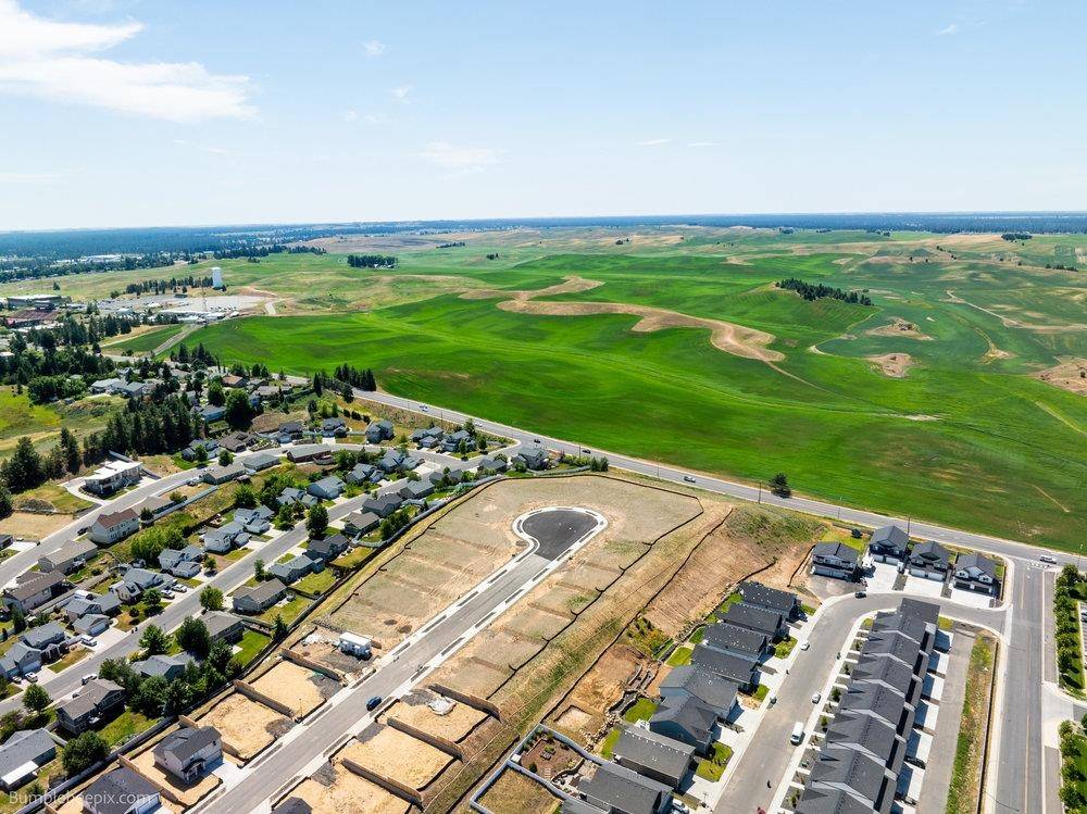 1003 Steptoe View Ln, Cheney, WA 99004