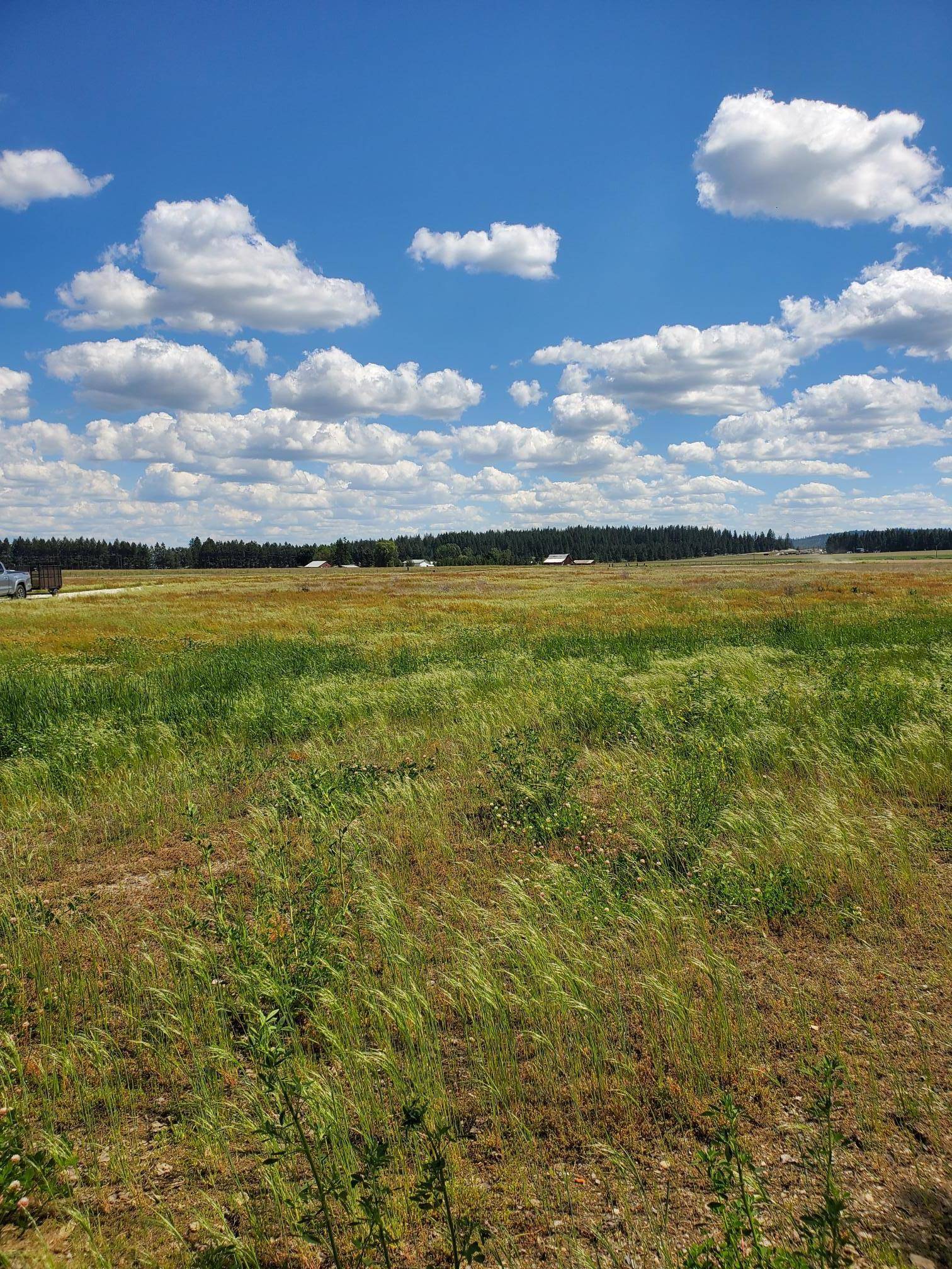 5166 Hattery Owens Rd #Parcel A, Deer Park, WA 99006