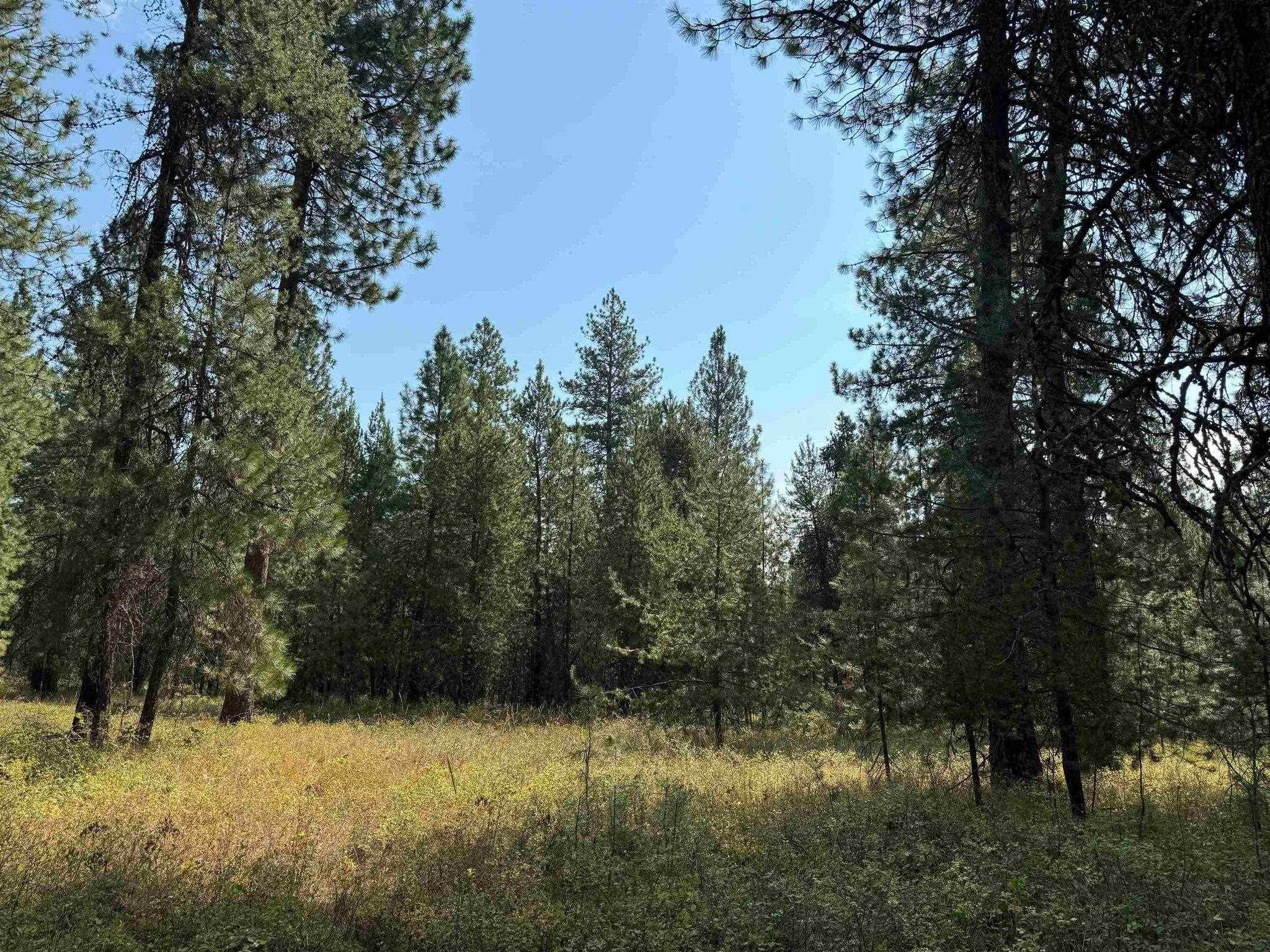 31912 N Division Rd, Deer Park, WA 99006