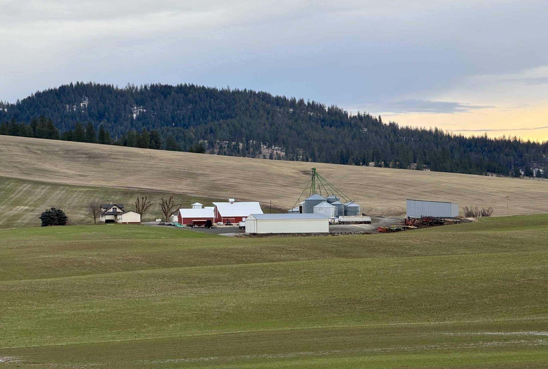 13102 S SR 27 Hwy, Mica, WA 99023