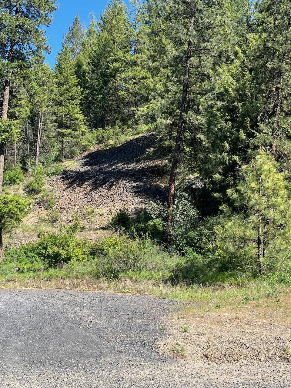 31270 Blue Grouse E Dr, Davenport, WA 99122