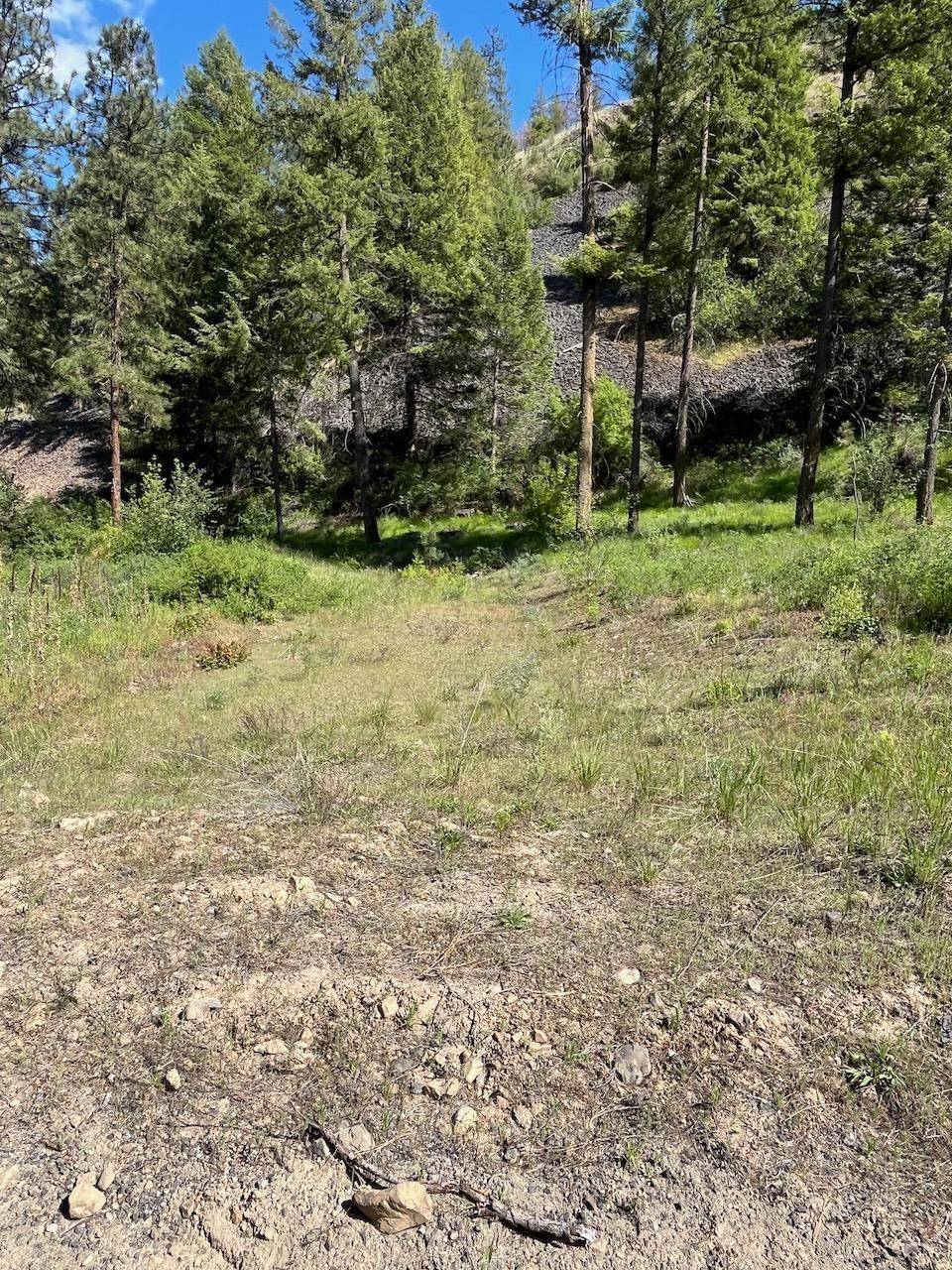 31270 Blue Grouse E Dr, Davenport, WA 99122