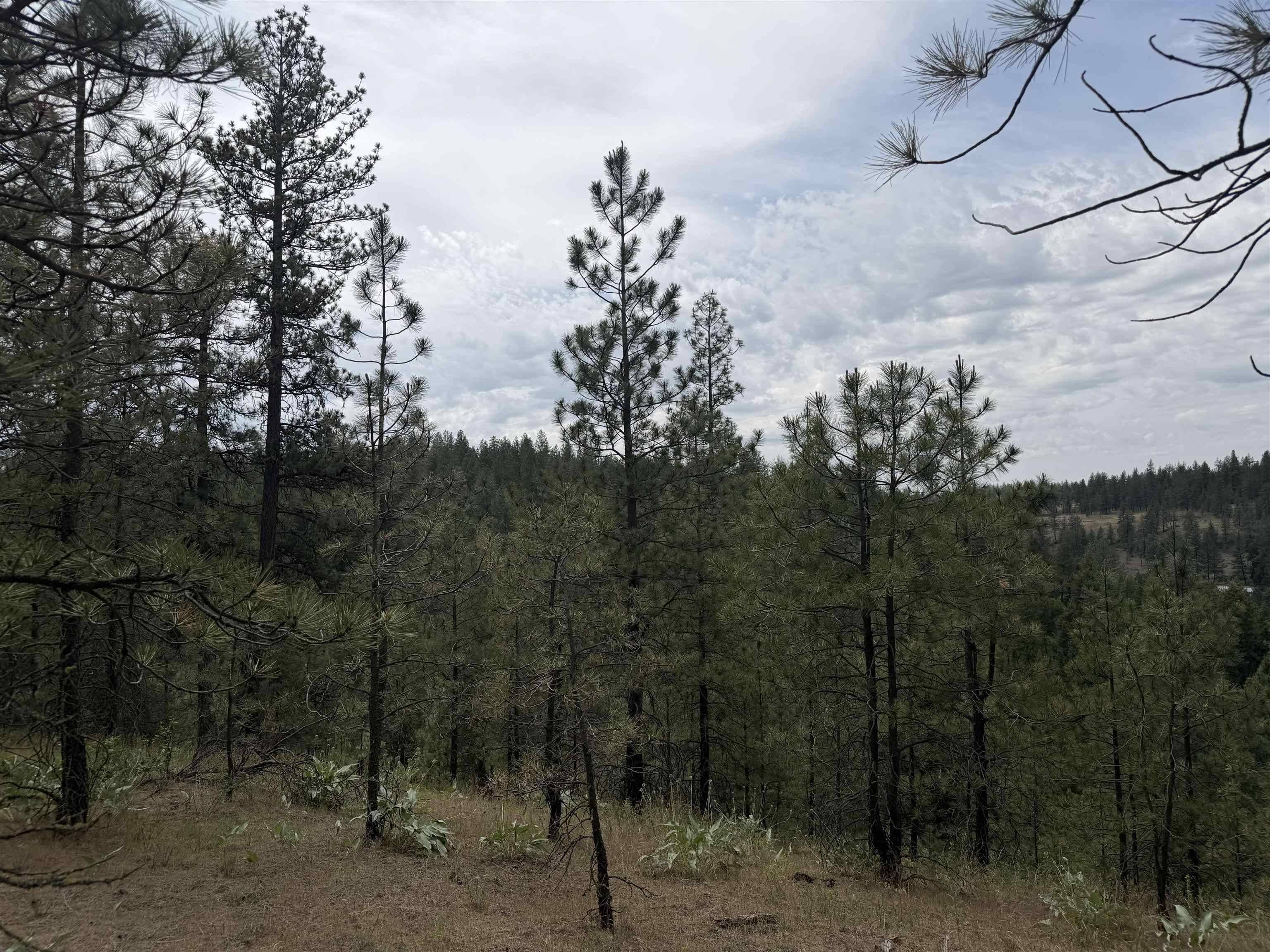 20xxx N Brooks Rd, Spokane, WA 99224