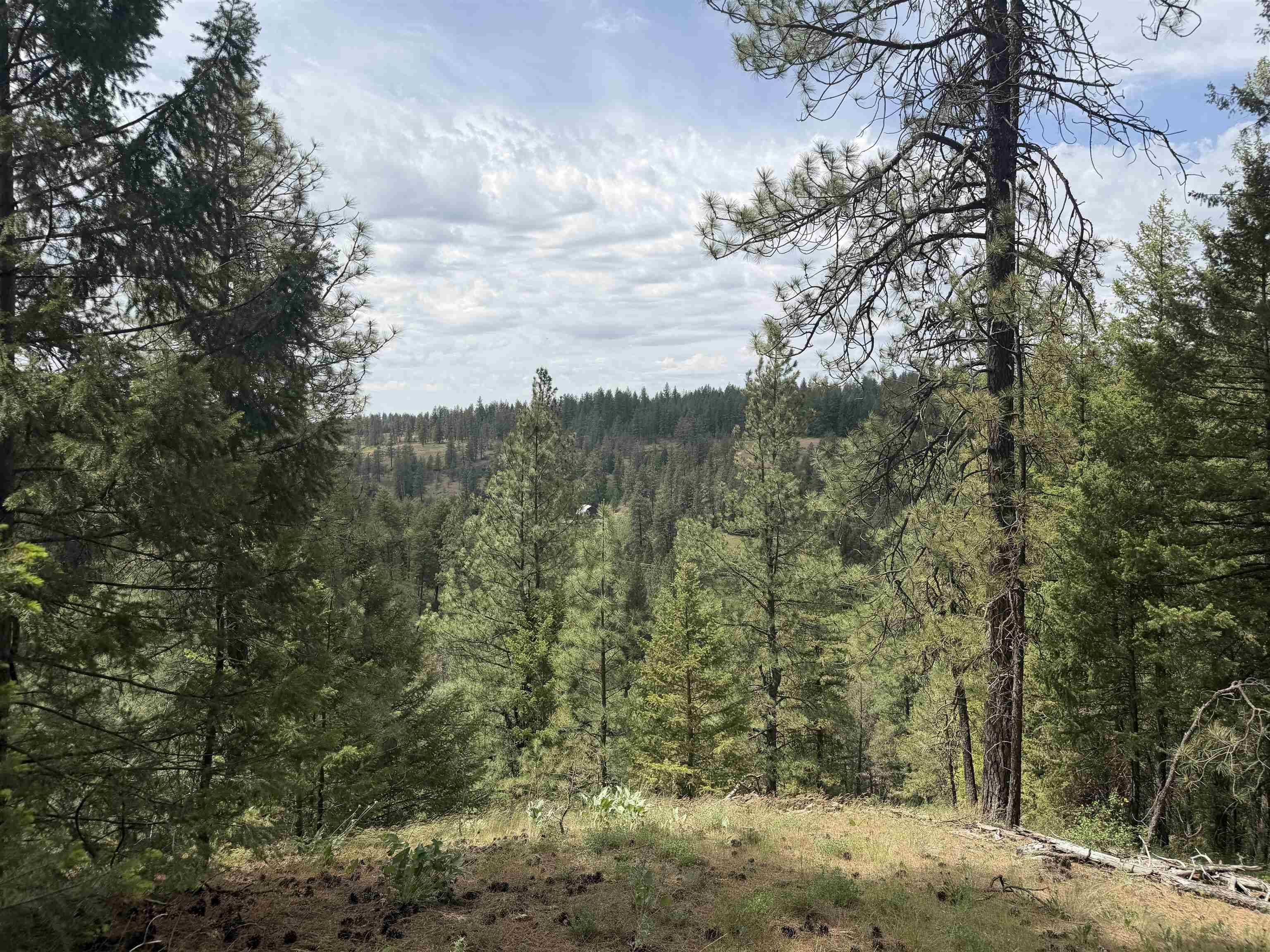 20xxx N Brooks Rd, Spokane, WA 99224