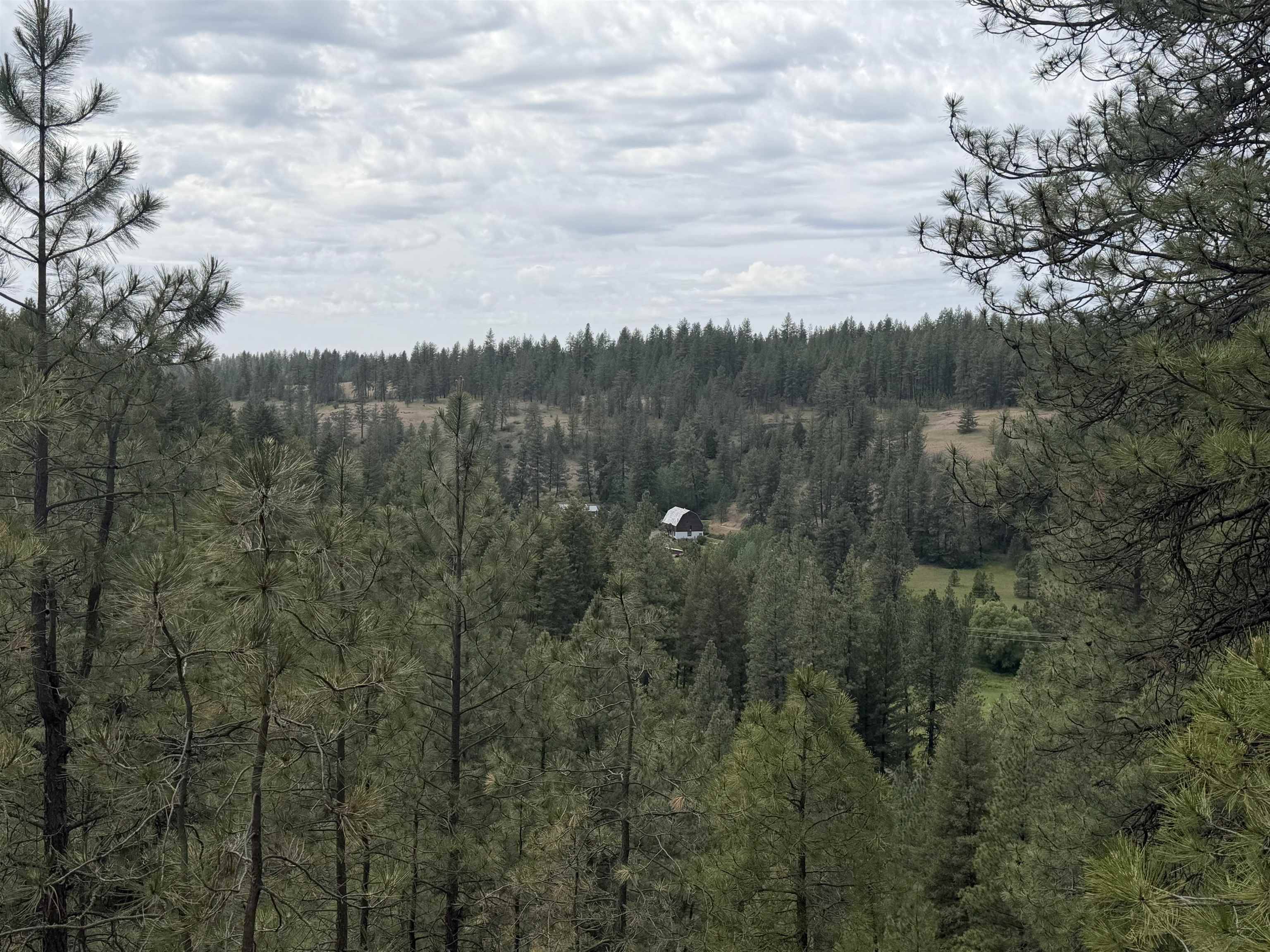 20xxx N Brooks Rd, Spokane, WA 99224