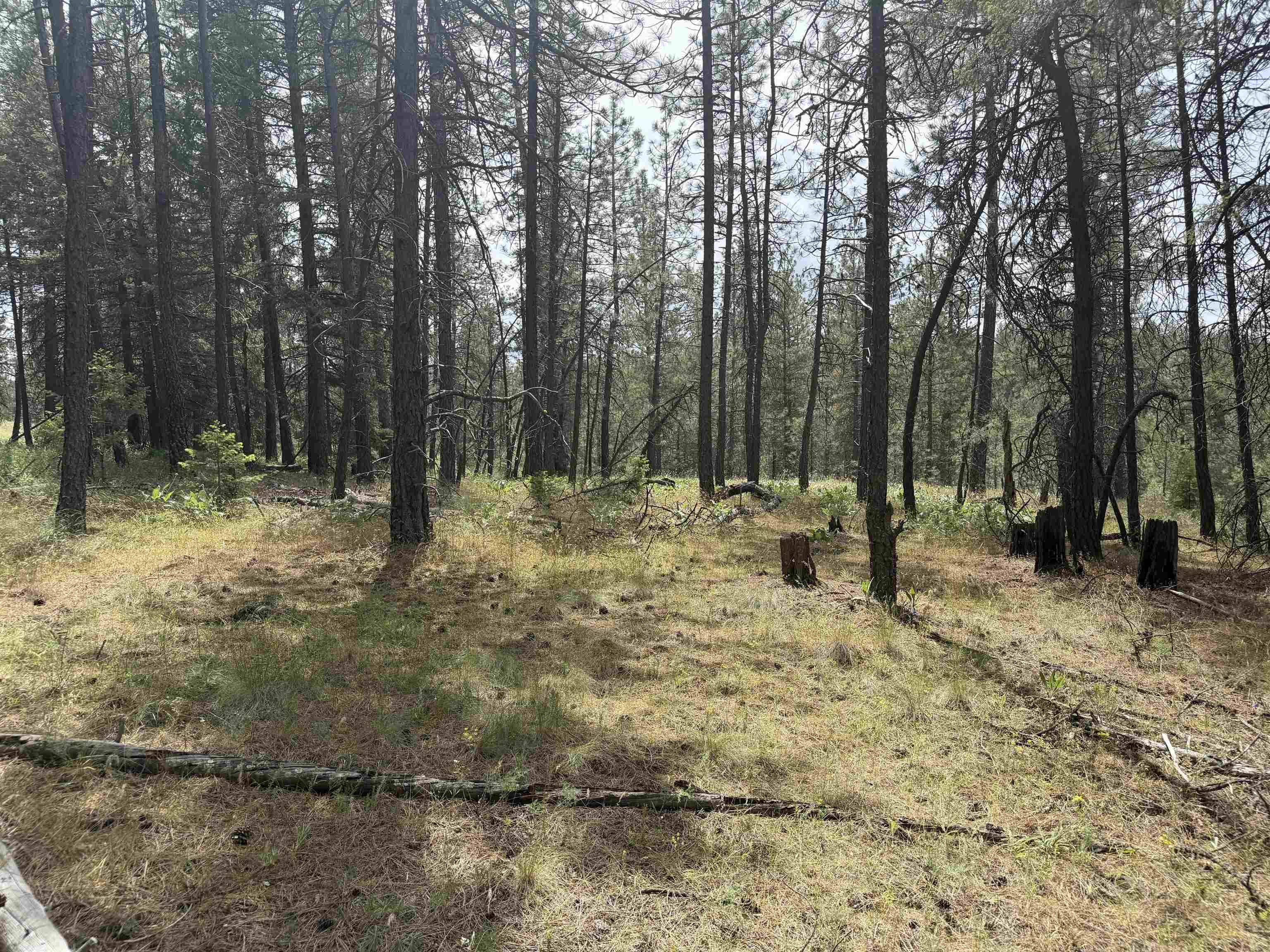 20xxx N Brooks Rd, Spokane, WA 99224