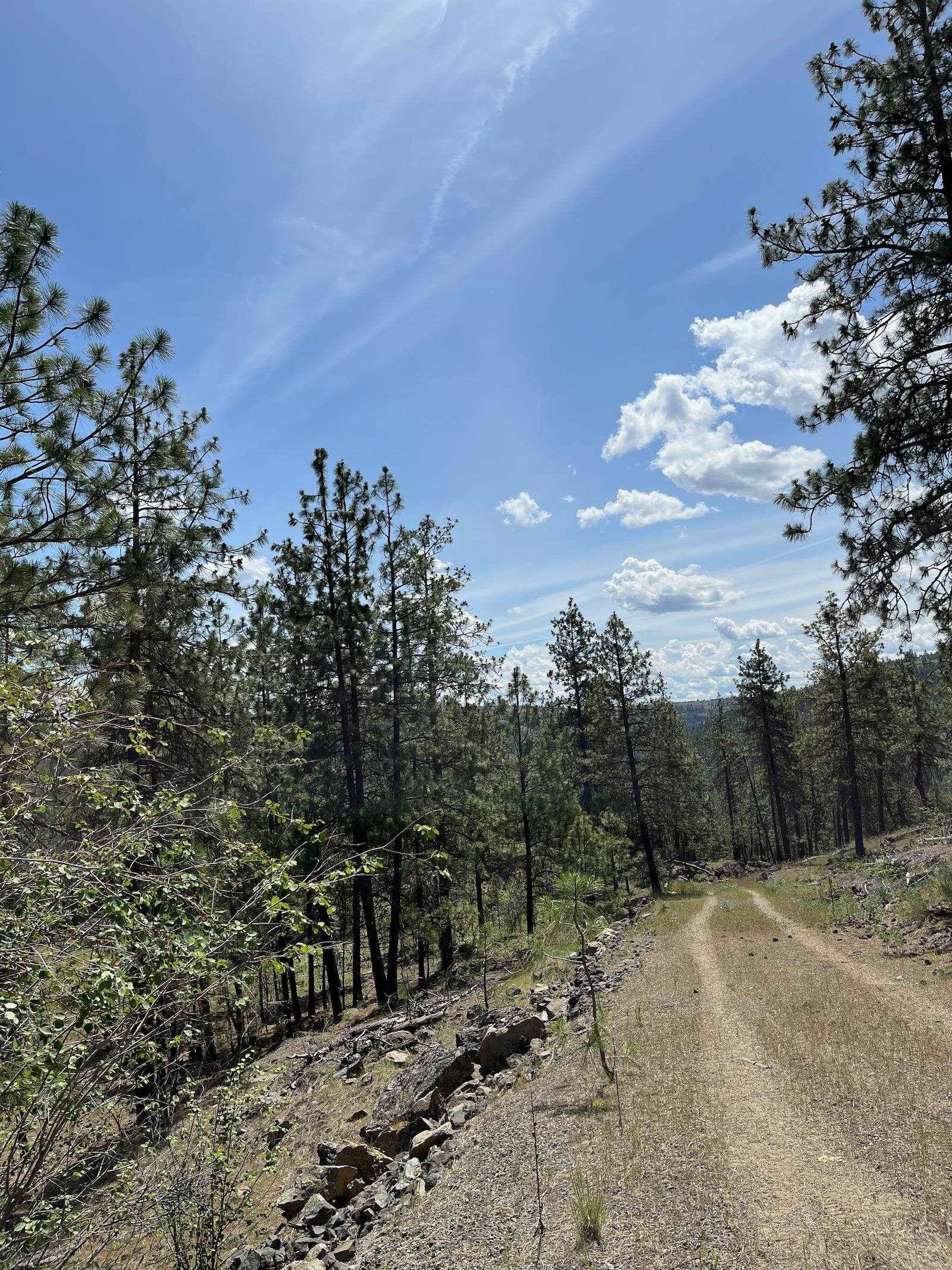 Wapiti 3 Bob White Ln, Davenport, WA 99122
