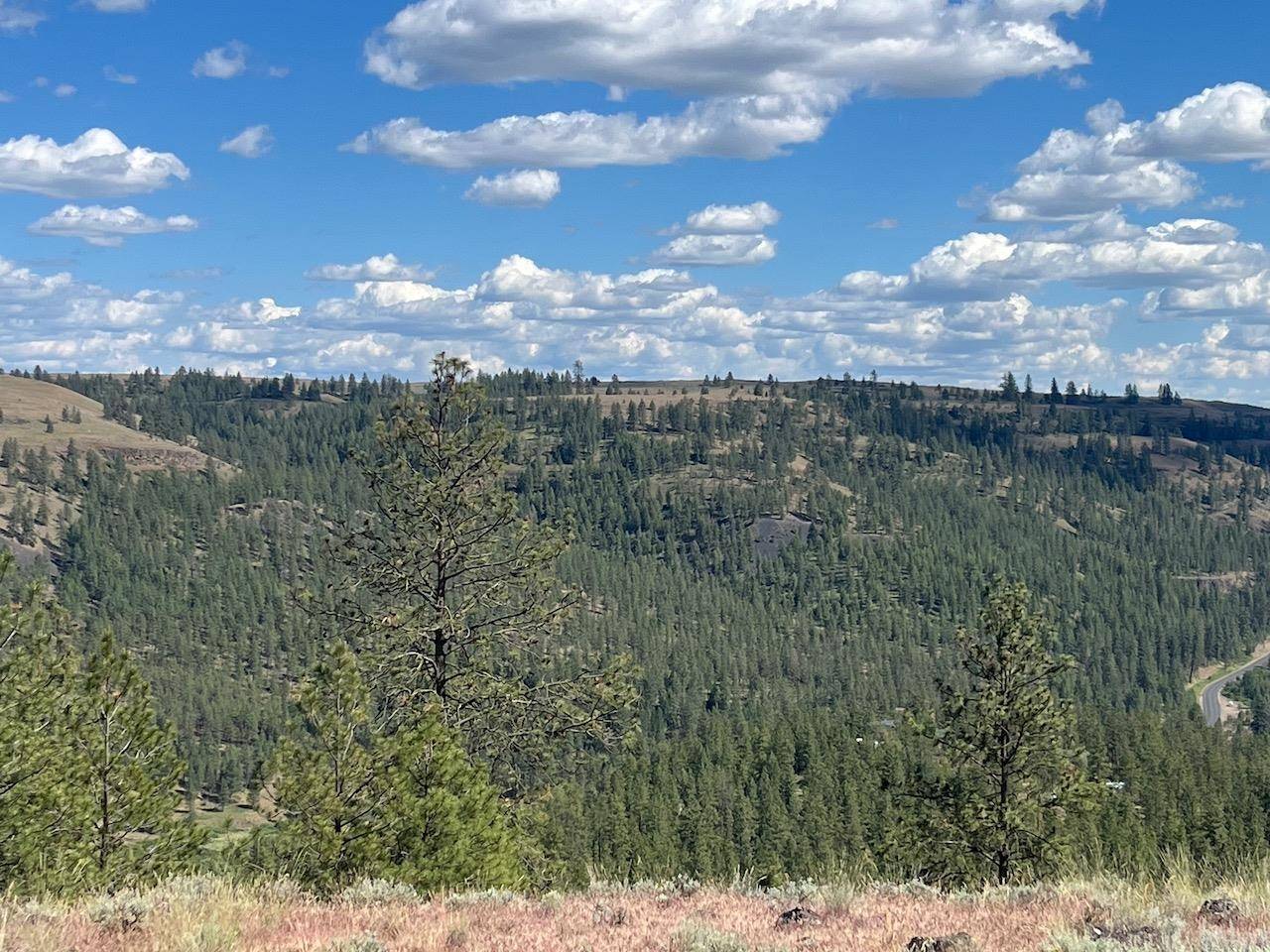 31805 Ruffed Grouse E Dr, Davenport, WA 99122