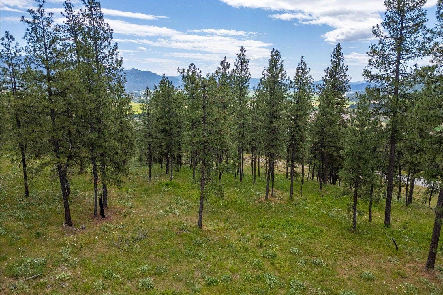 1612 Palmer LOOP, Chewelah, WA 99109