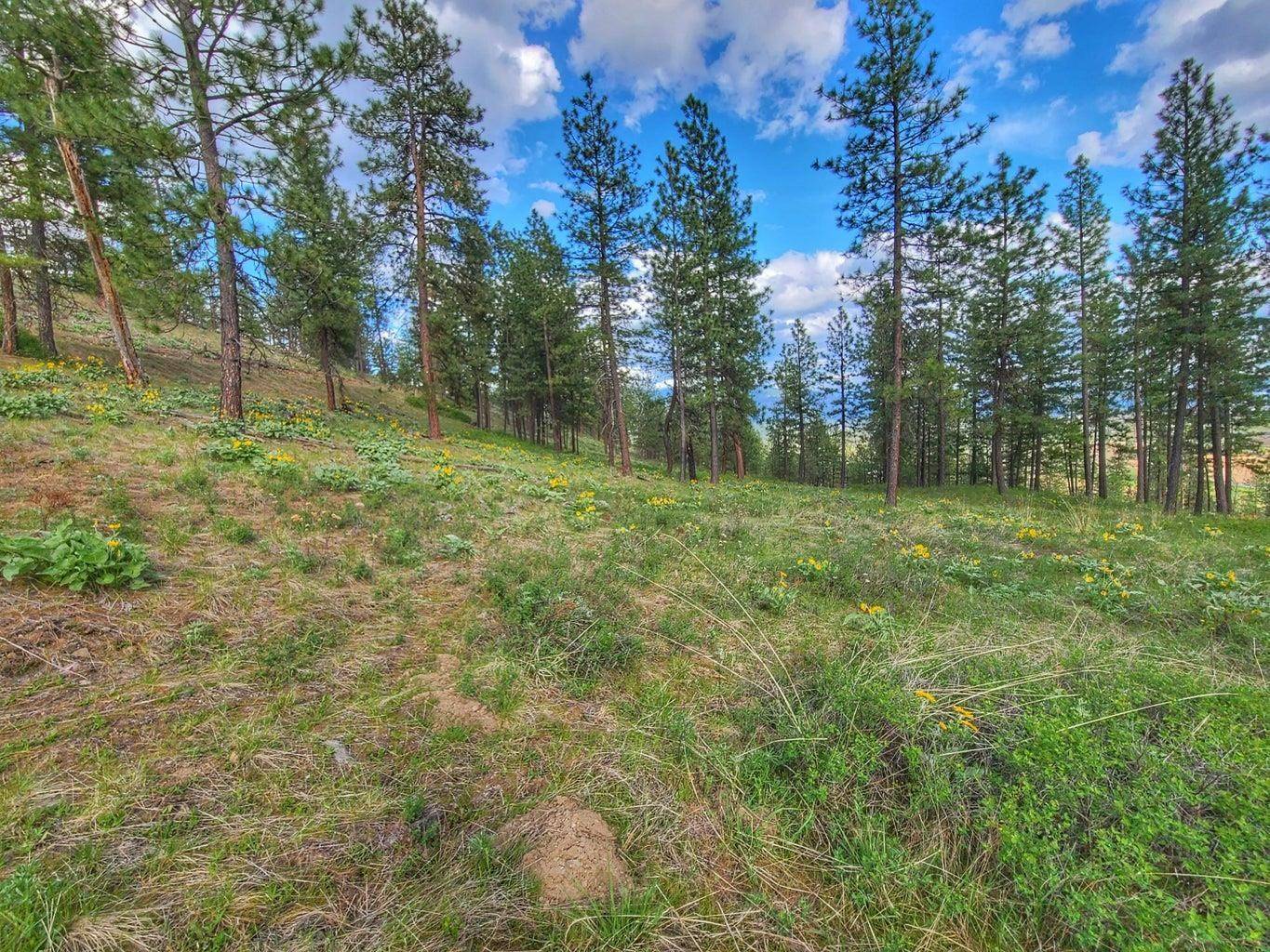 1612 Palmer LOOP, Chewelah, WA 99109