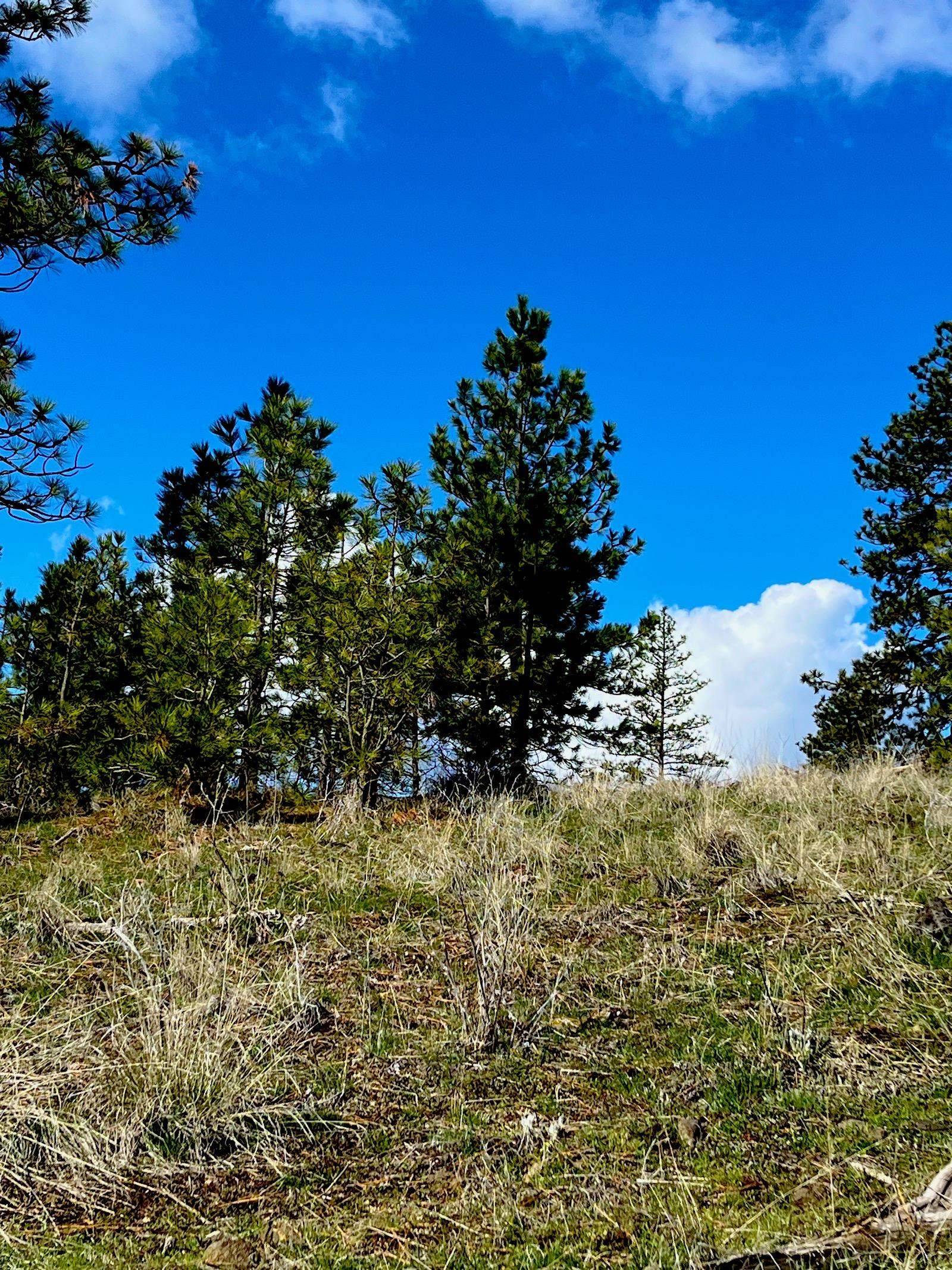 34430 Partridge N Ln, Davenport, WA 99122