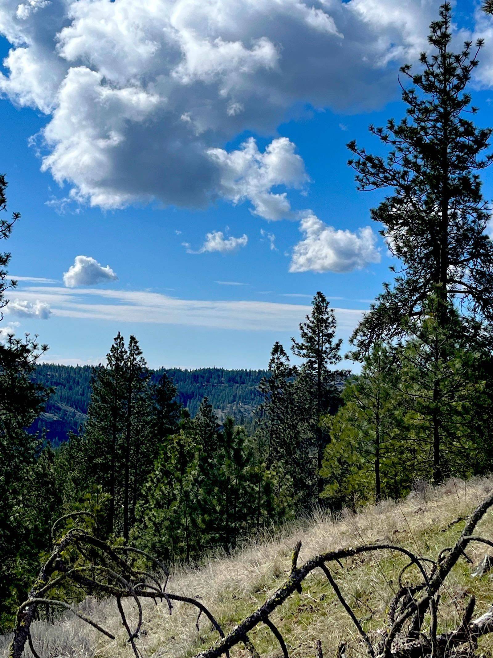 34430 Partridge N Ln, Davenport, WA 99122