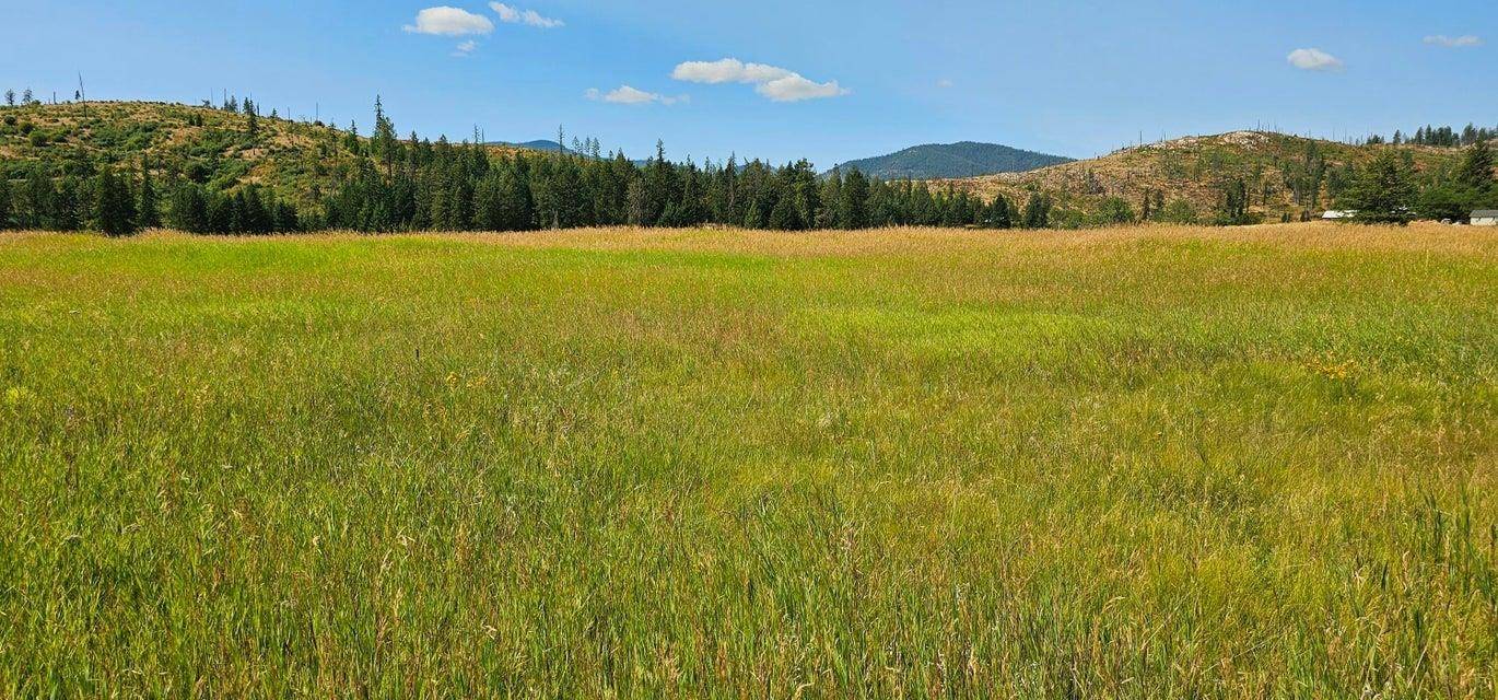1041 Ward WAY, Colville, WA 99114