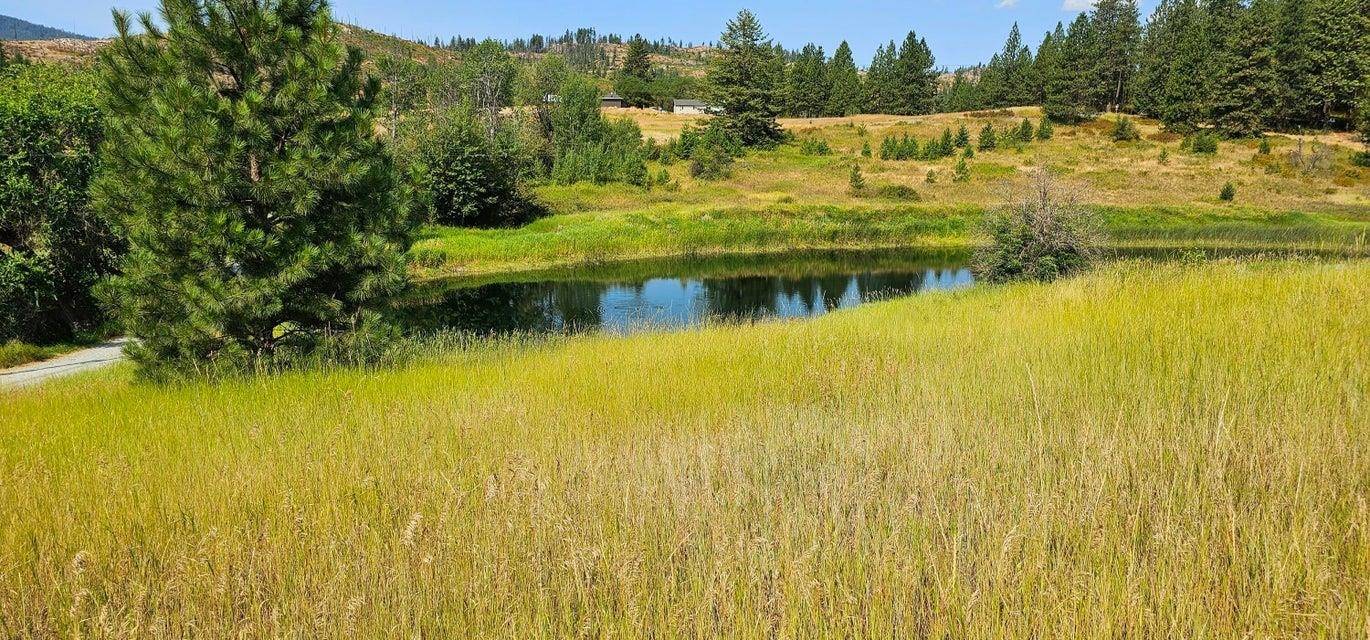 1041 Ward WAY, Colville, WA 99114