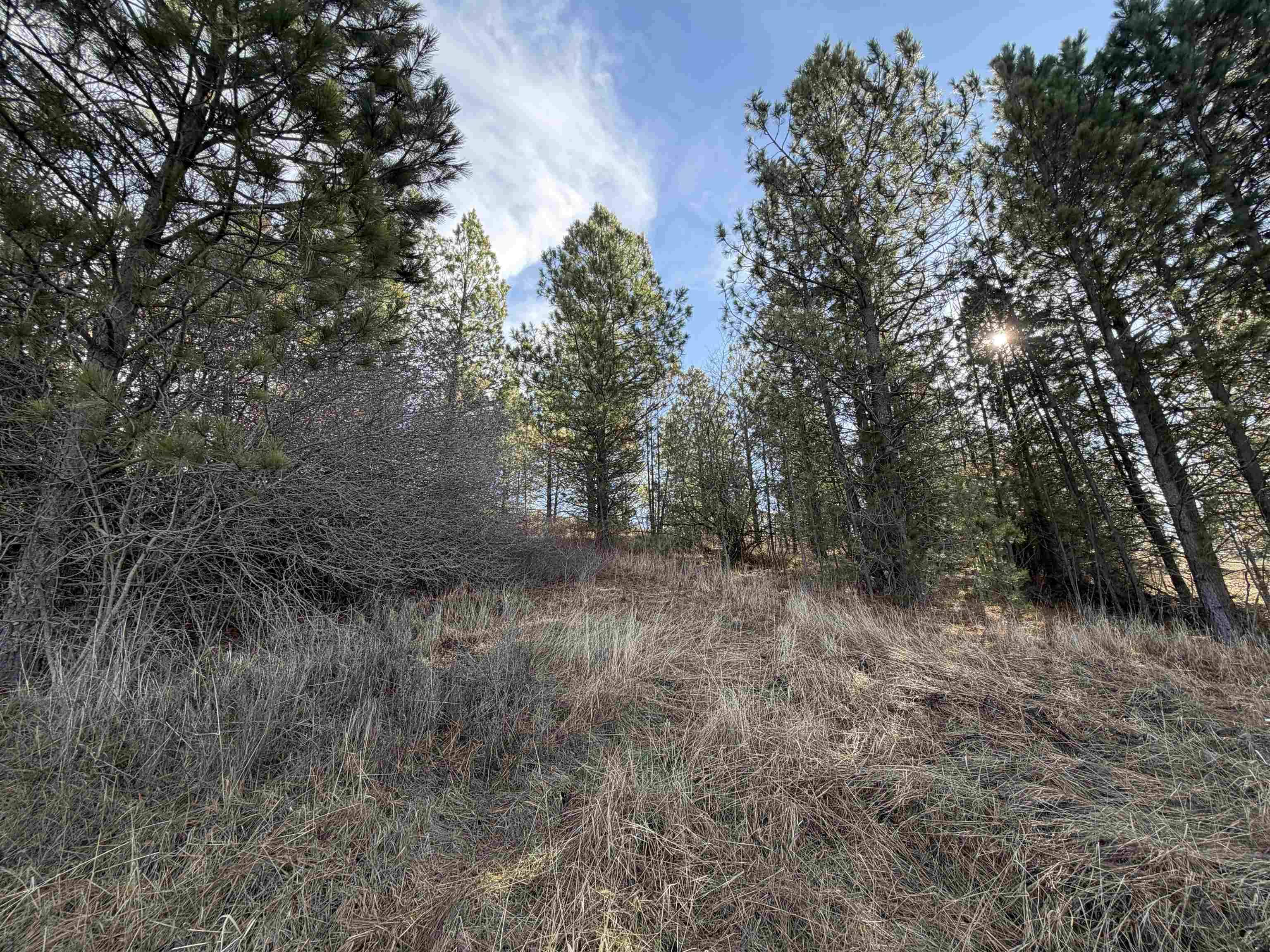 NKA E Stringham Rd, Rockford, WA 99030