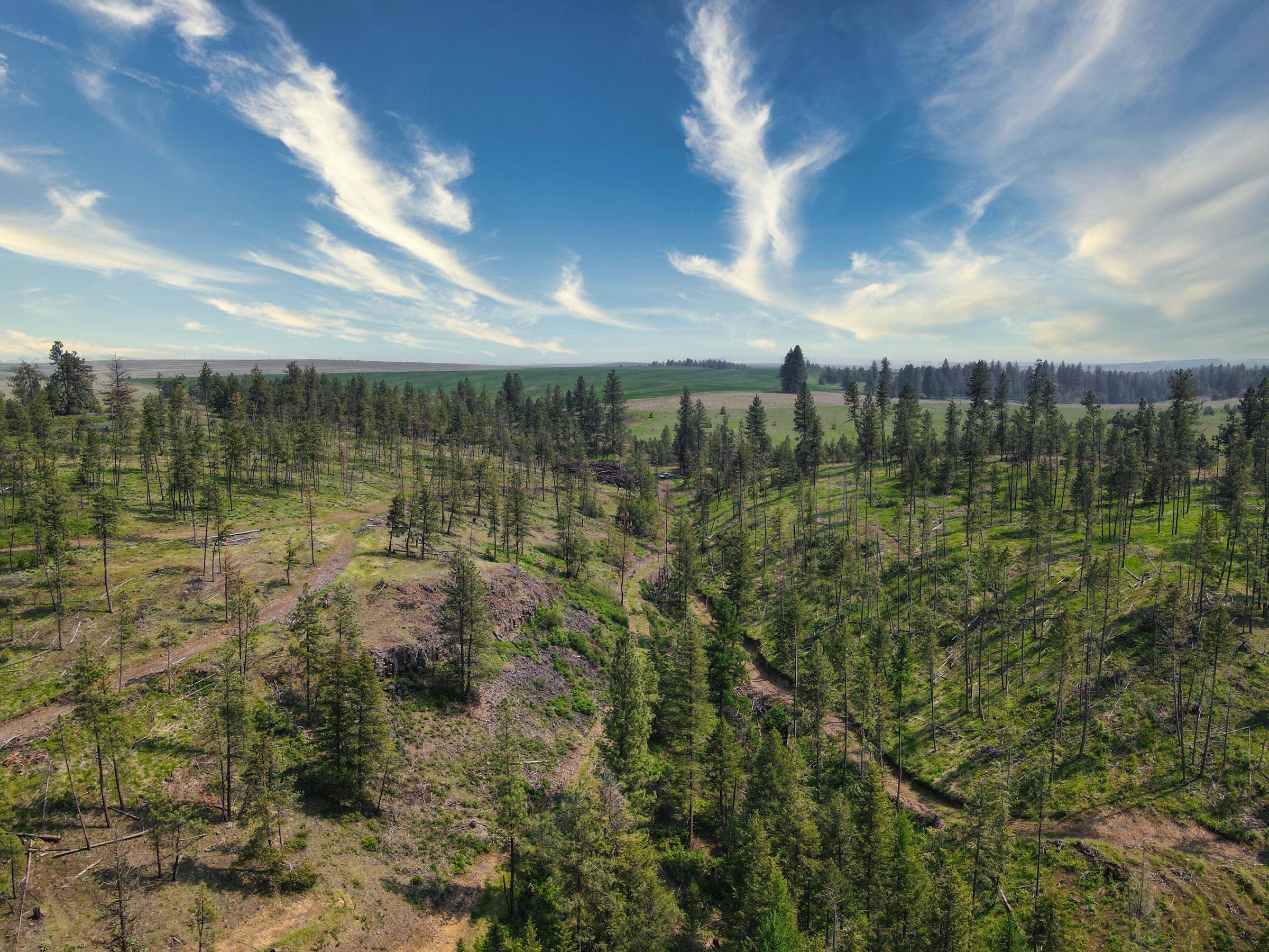 45XXX Devore Rd, Davenport, WA 99122