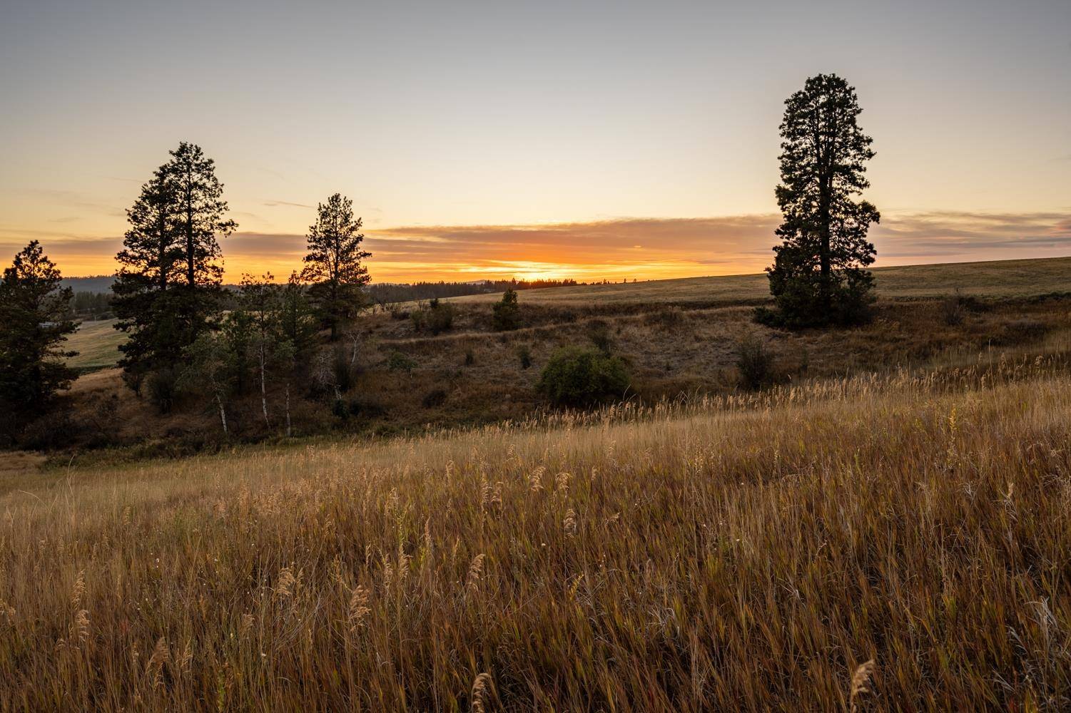 10900 S Silver Hill Rd, Spokane, WA 99223