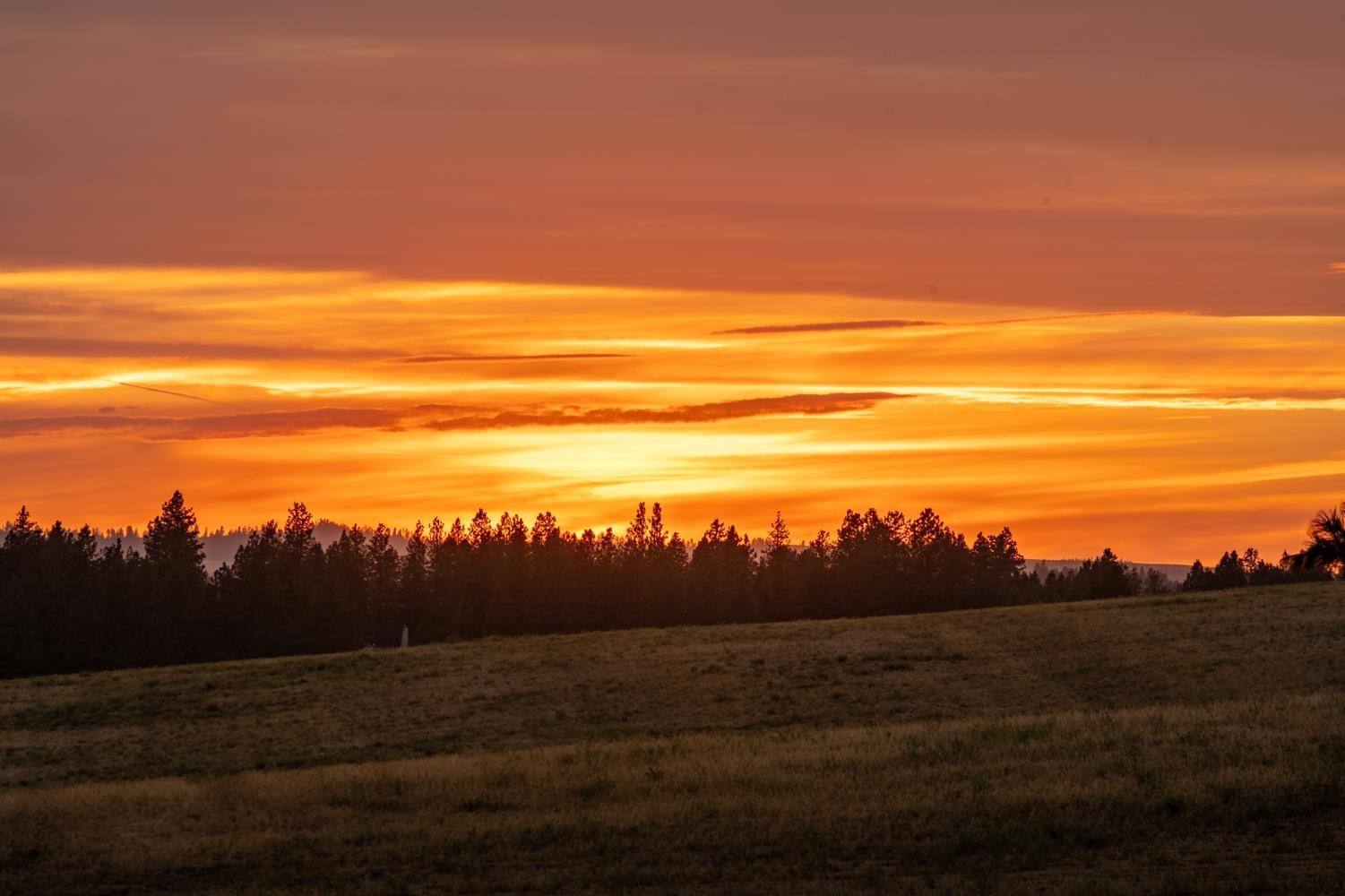 10900 S Silver Hill Rd, Spokane, WA 99223