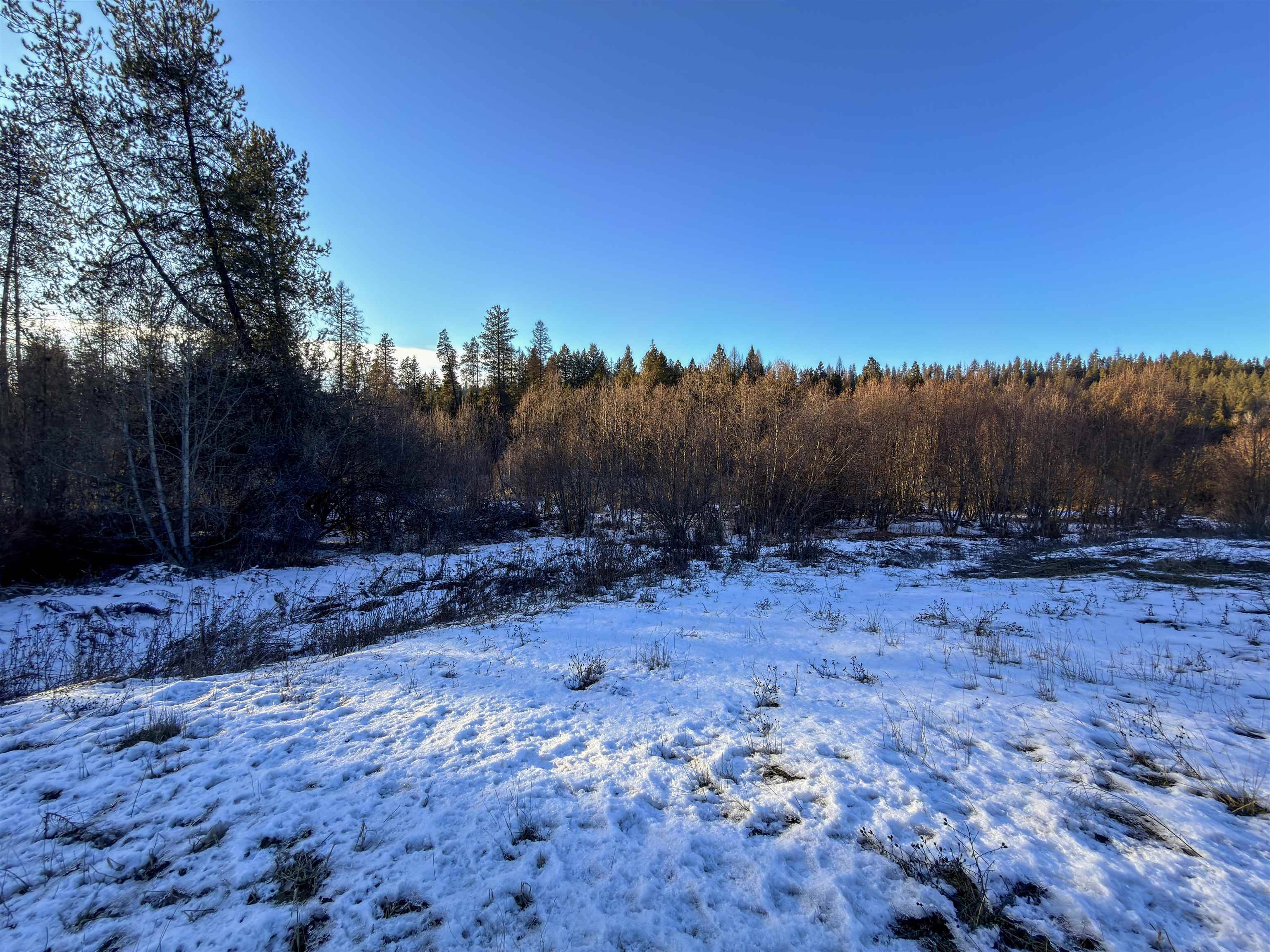 331861 2 Hwy, Newport, WA 99156